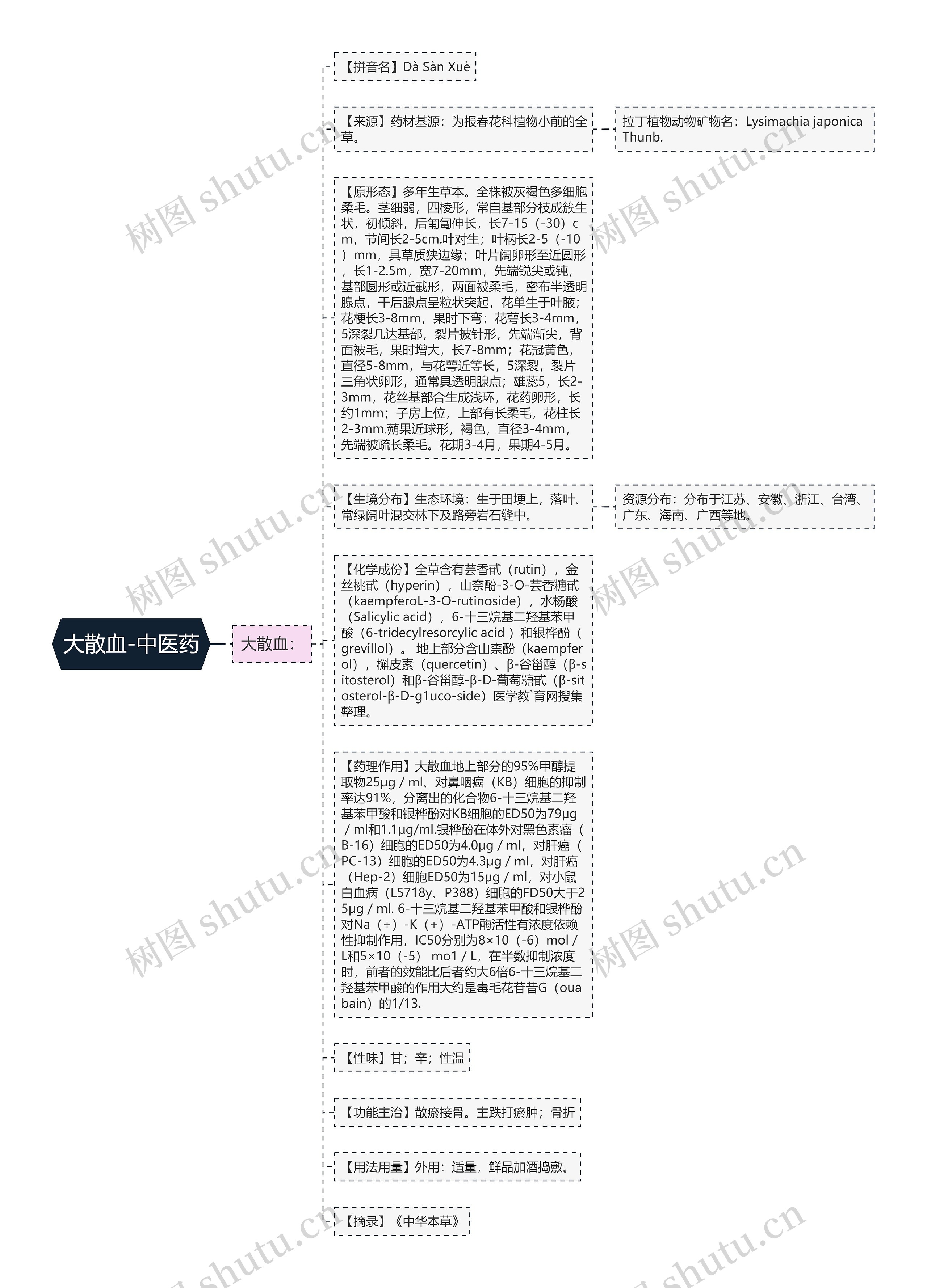 大散血-中医药思维导图