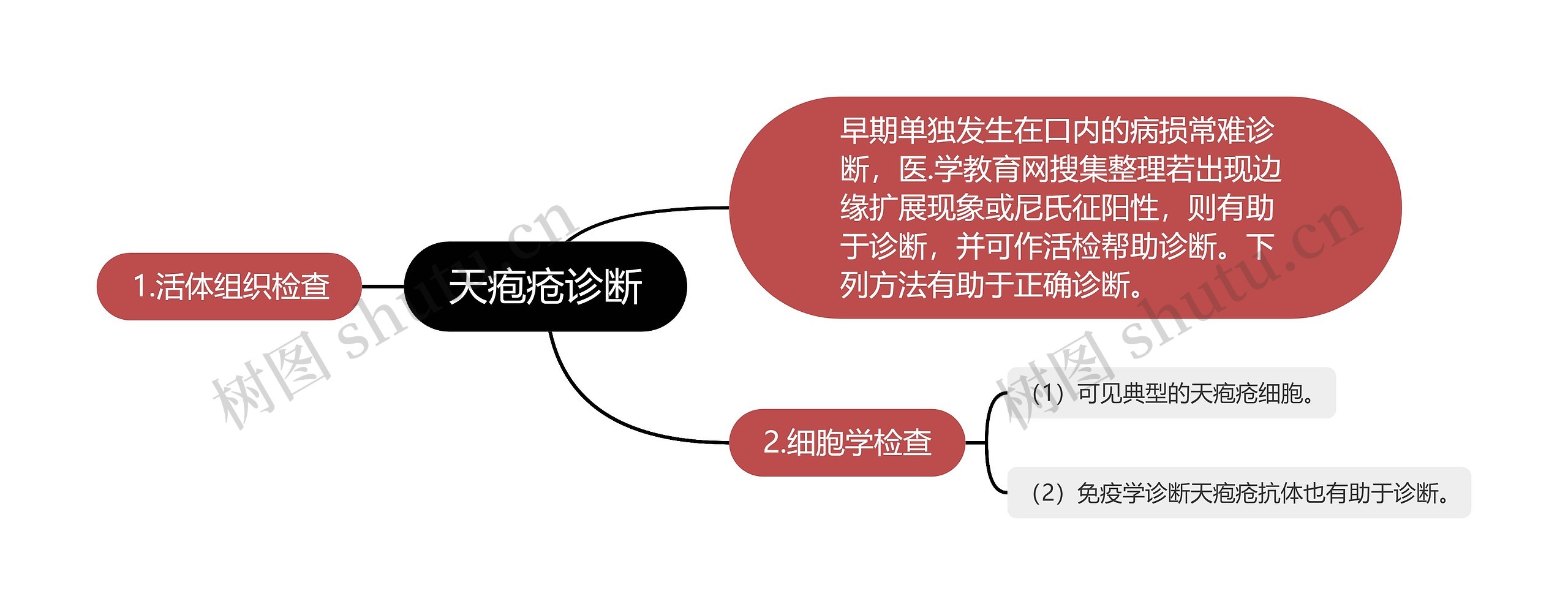 天疱疮诊断思维导图