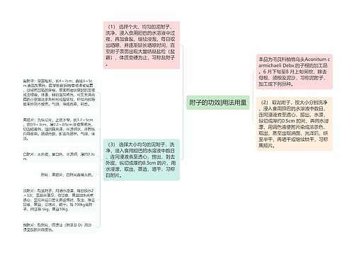 附子的功效|用法用量