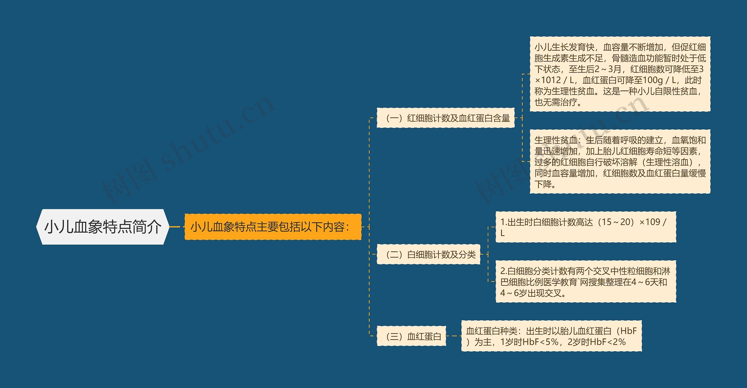 小儿血象特点简介思维导图