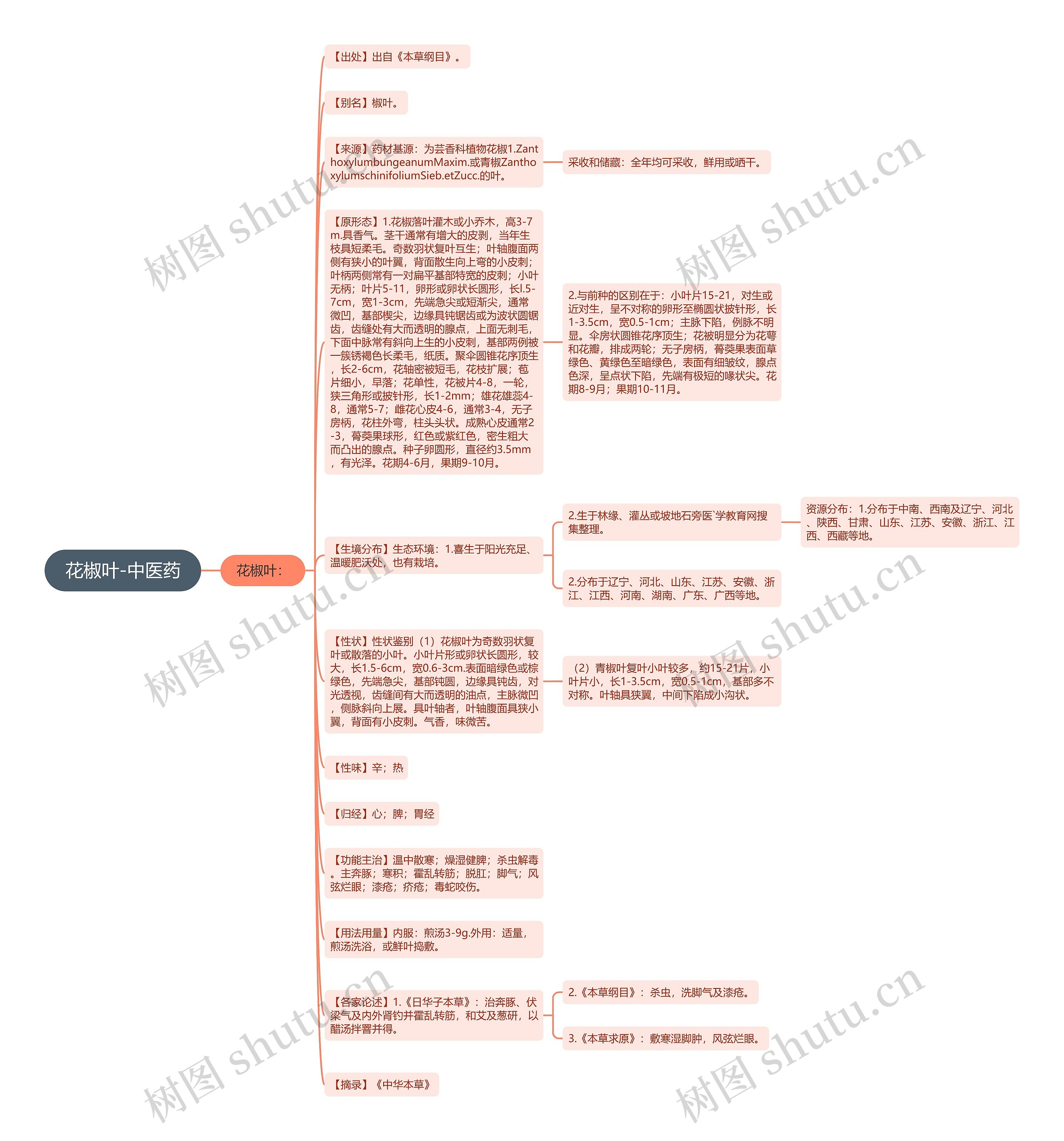 花椒叶-中医药思维导图