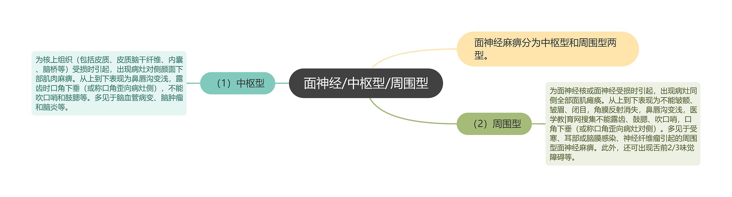 面神经/中枢型/周围型 面神经/中枢型/周围型