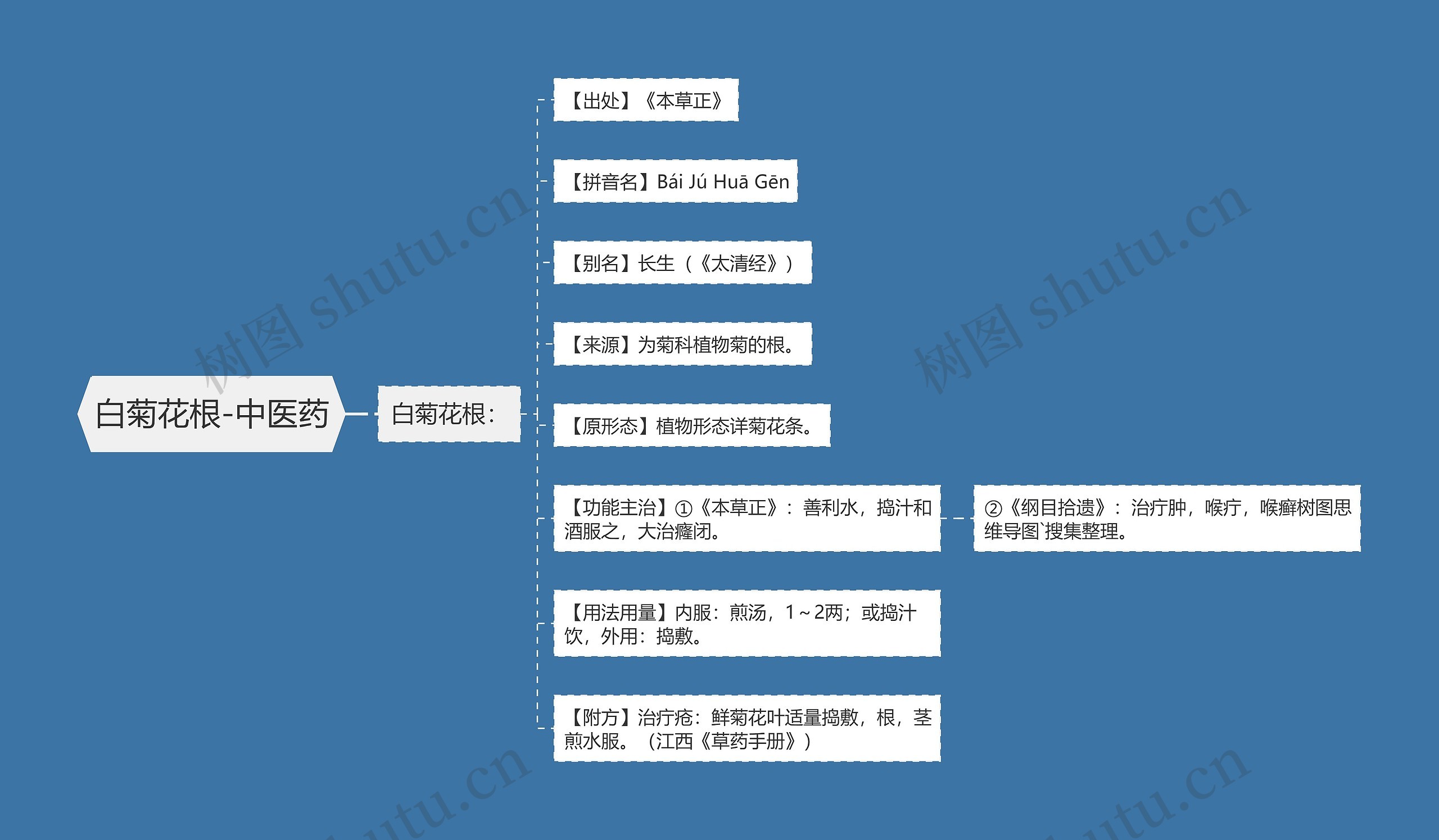 白菊花根-中医药 白菊花根-中医药