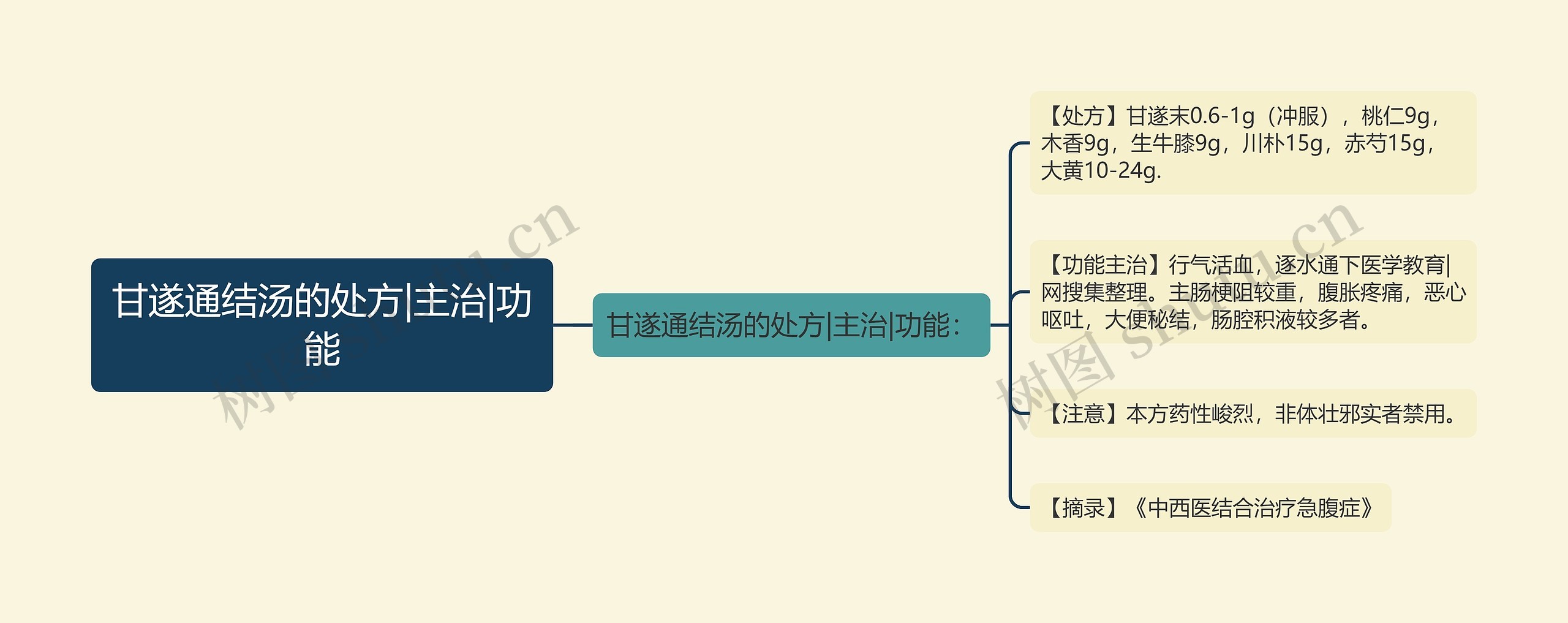 甘遂通结汤的处方|主治|功能思维导图