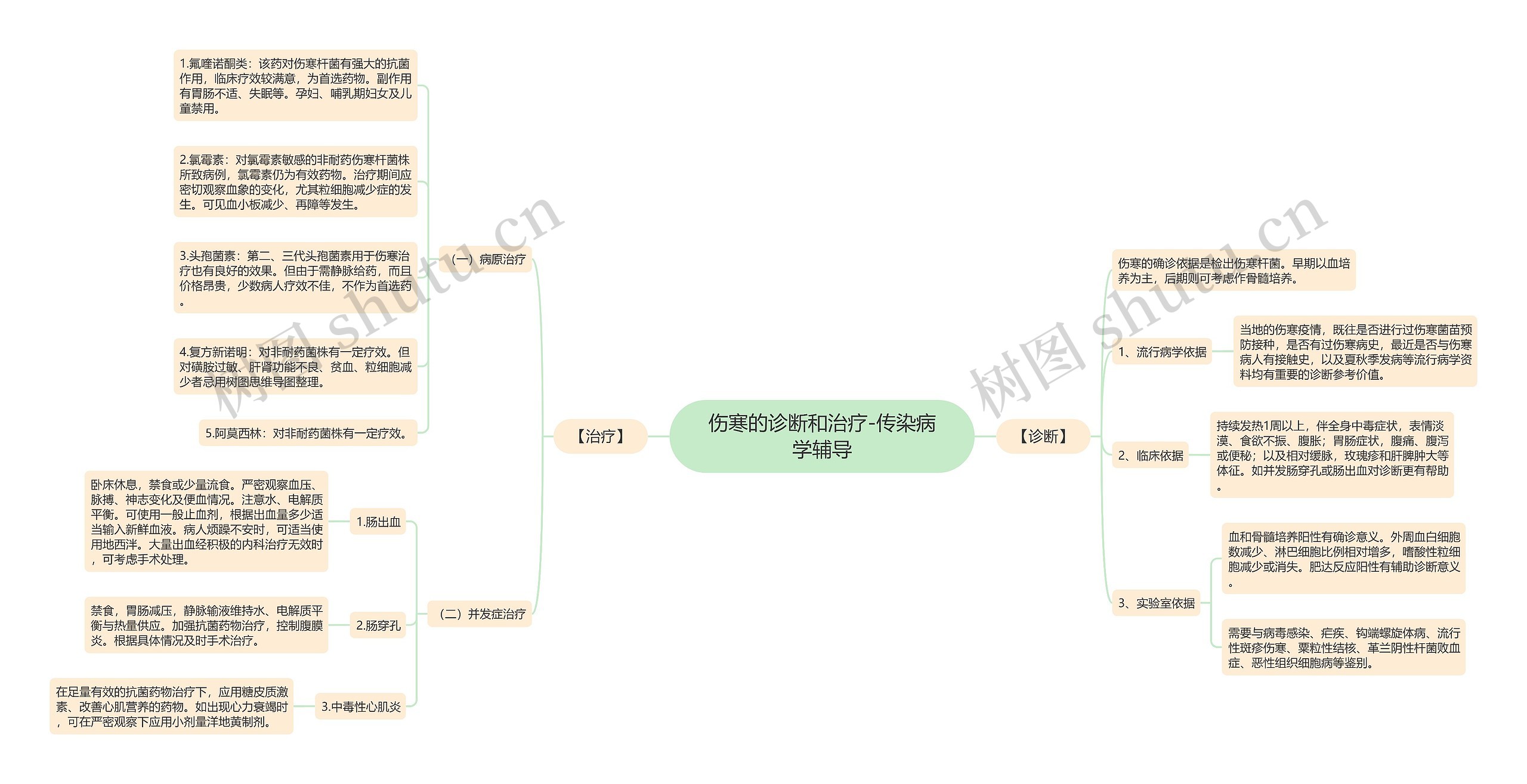 伤寒的诊断和治疗-传染病学辅导思维导图