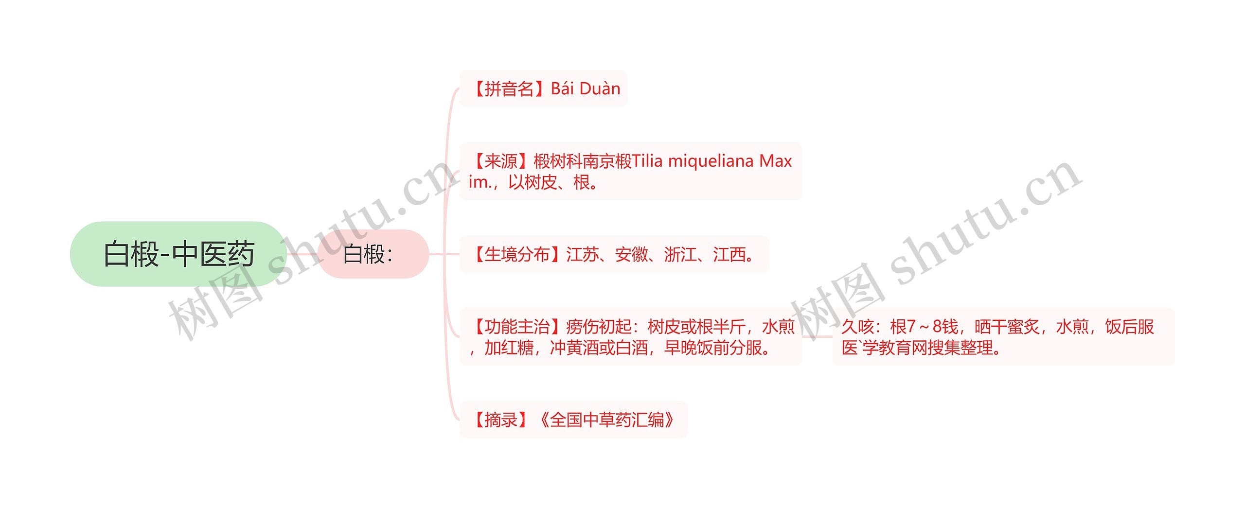 白椴-中医药思维导图
