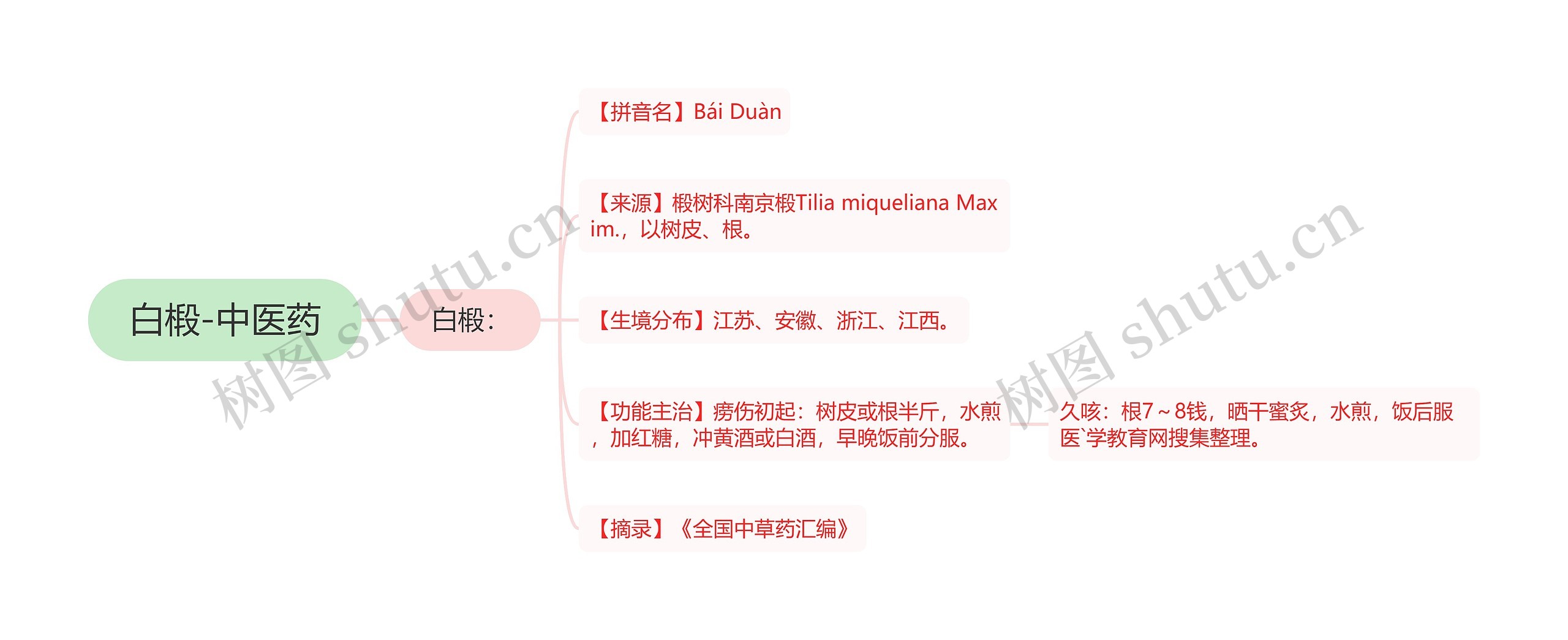 白椴-中医药 白椴-中医药