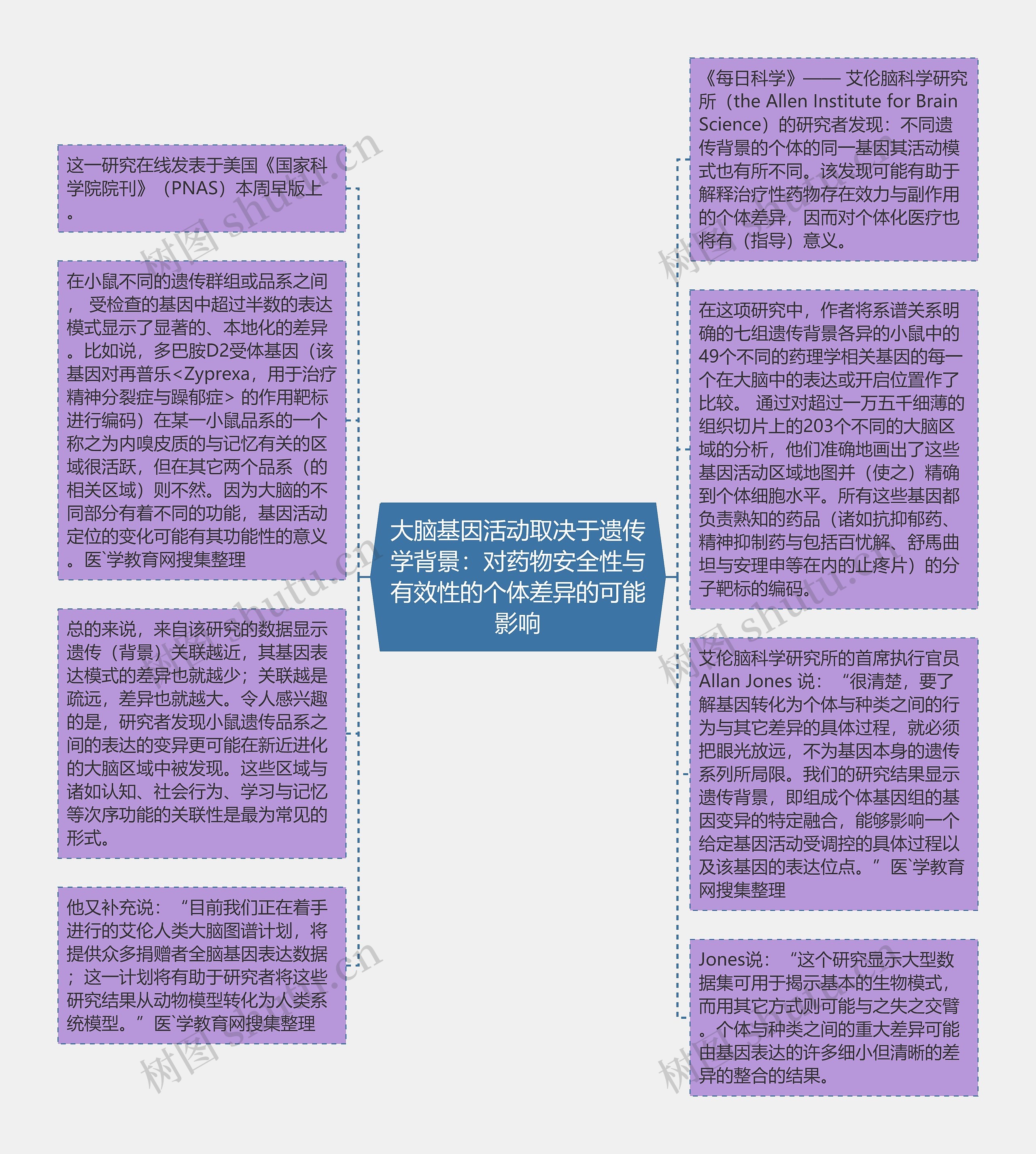 大脑基因活动取决于遗传学背景：对药物安全性与有效性的个体差异的可能影响思维导图