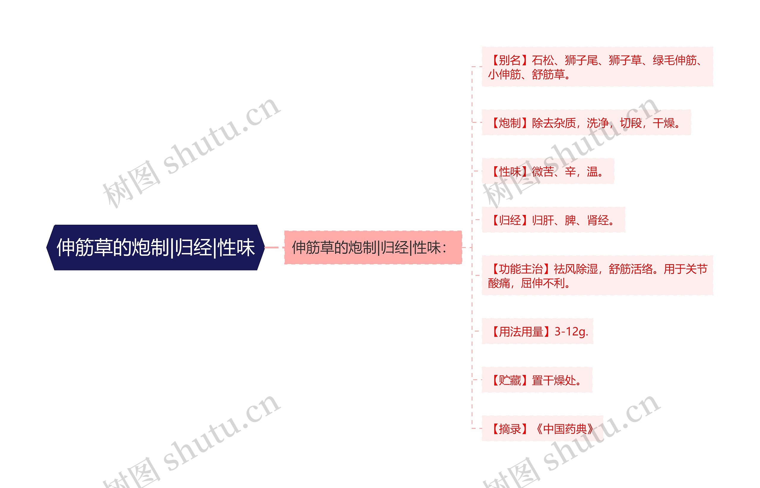 伸筋草的炮制|归经|性味思维导图