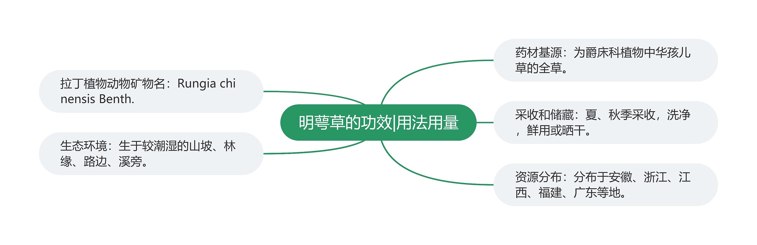 明萼草的功效|用法用量