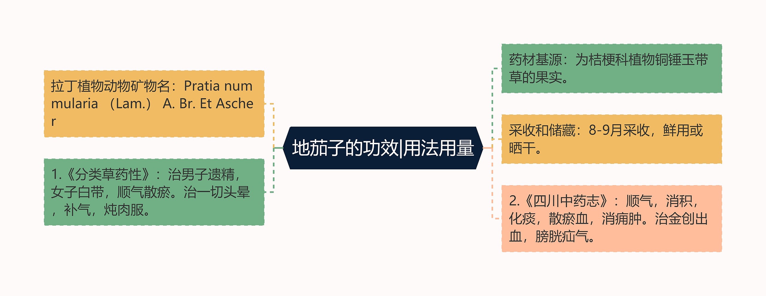 地茄子的功效|用法用量思维导图