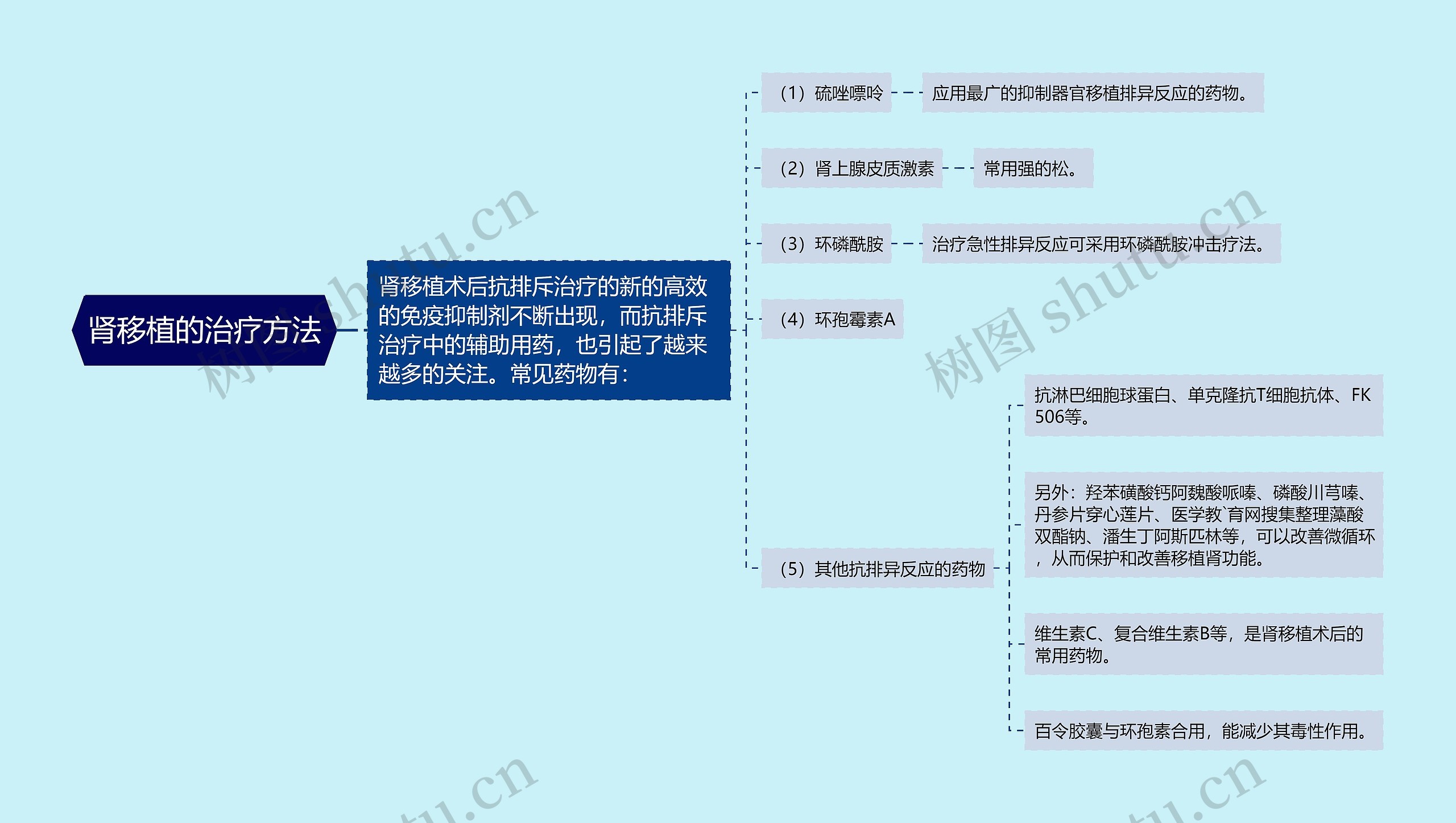 肾移植的治疗方法思维导图