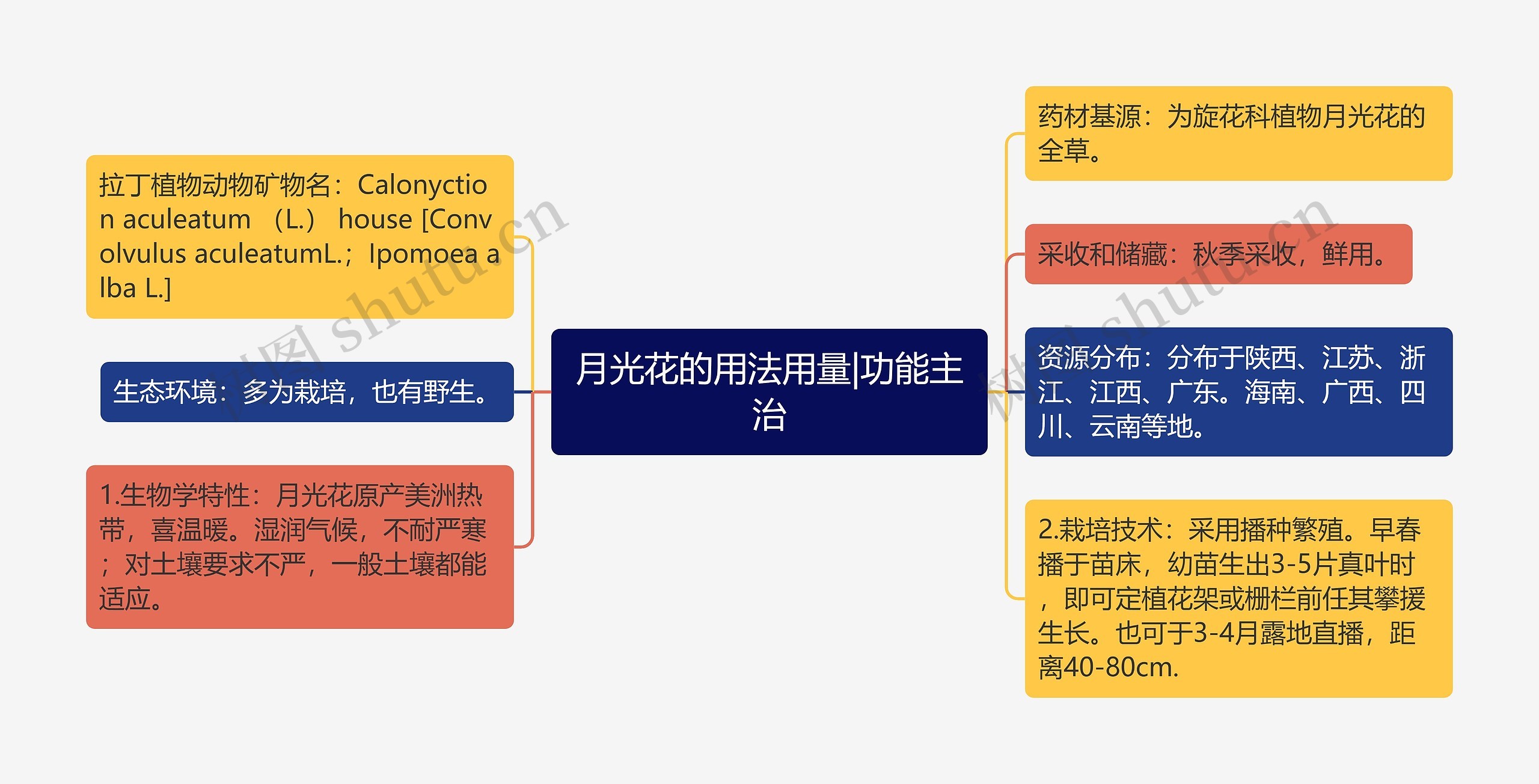 月光花的用法用量|功能主治