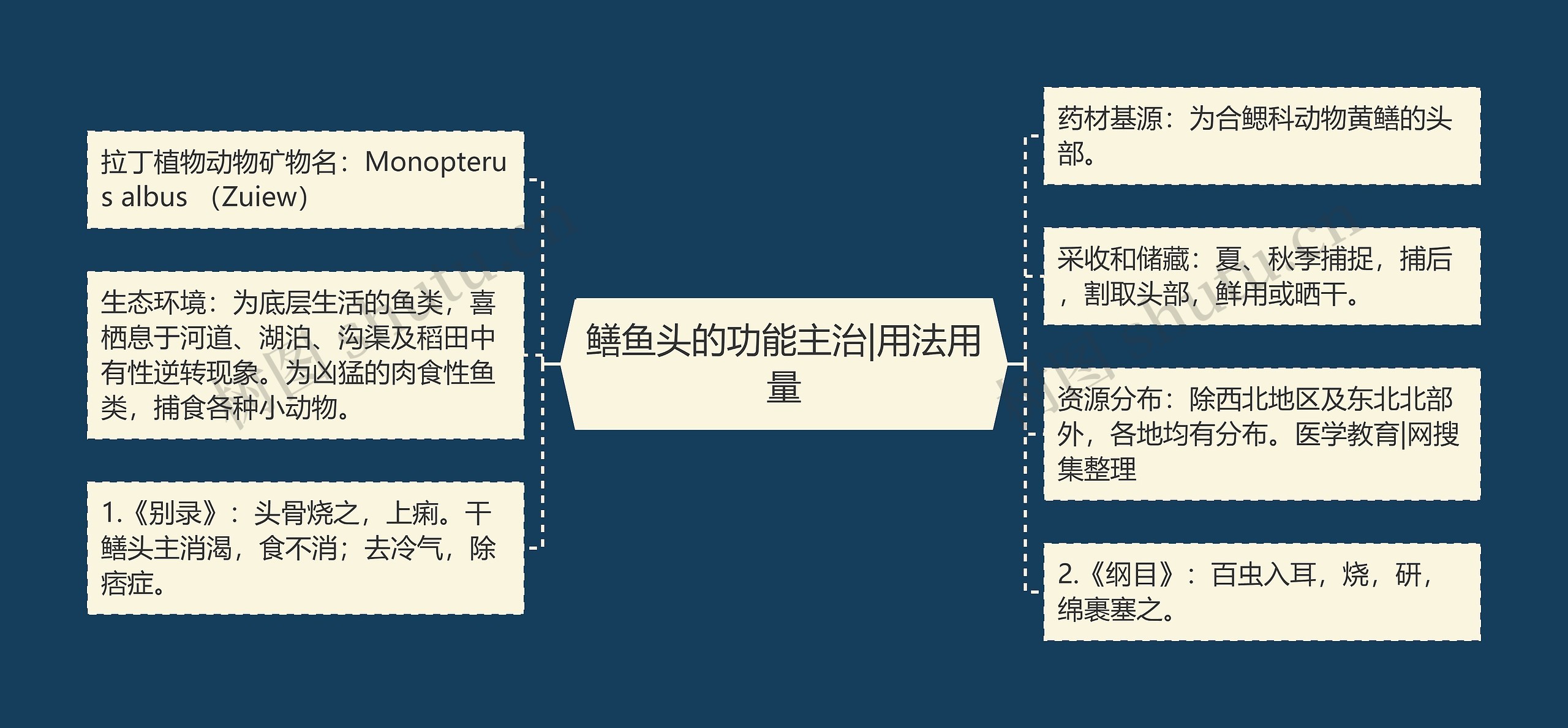 鳝鱼头的功能主治|用法用量 鳝鱼头的功能主治|用法用量