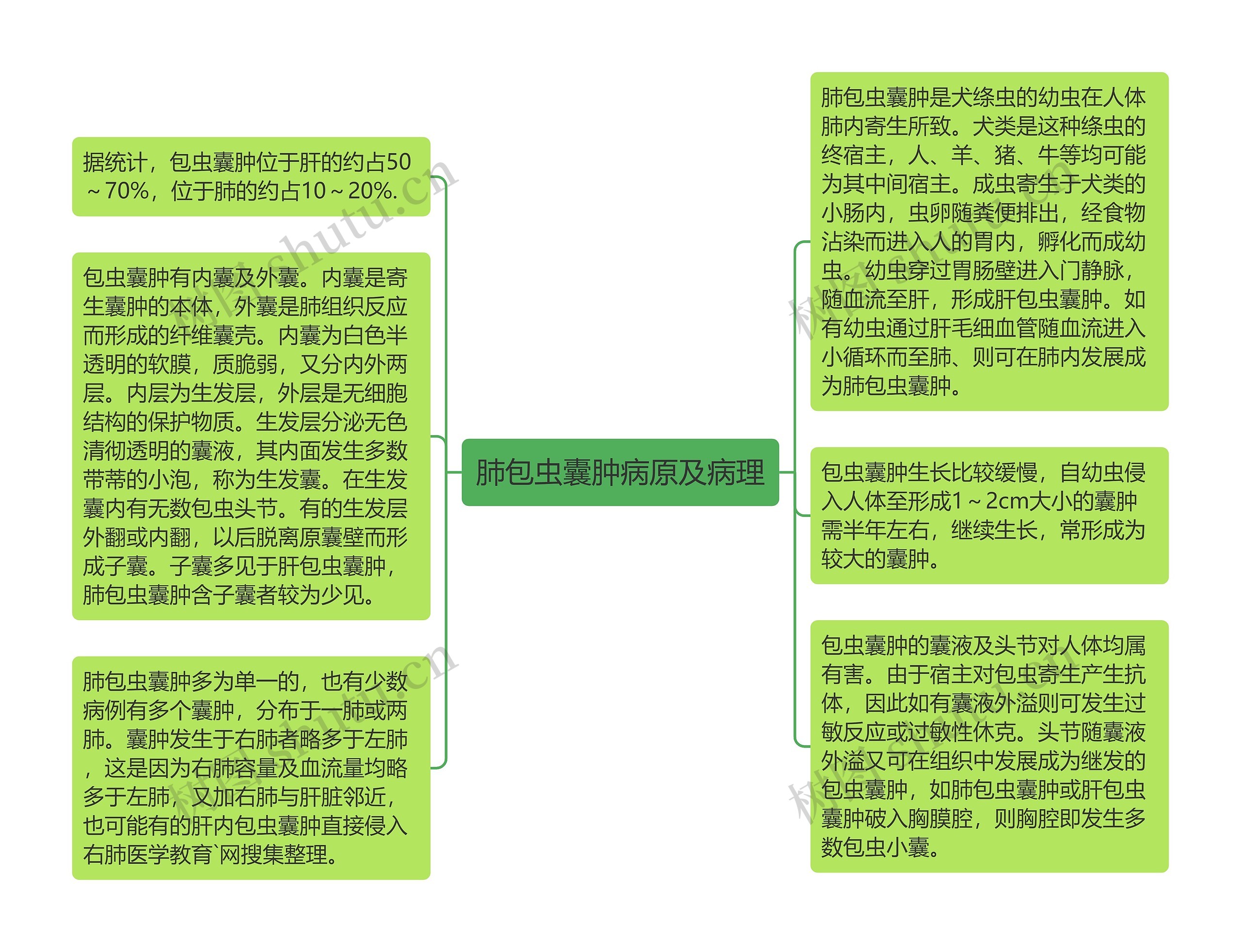 肺包虫囊肿病原及病理思维导图