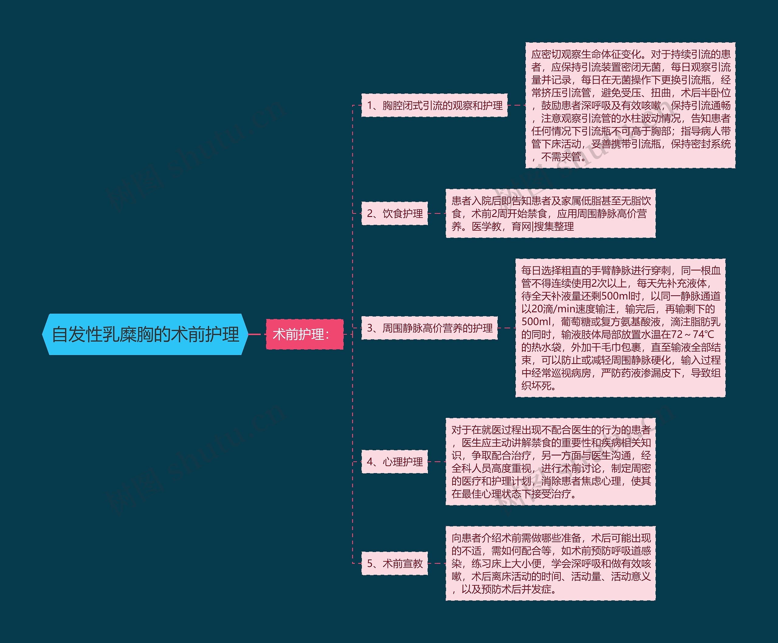自发性乳糜胸的术前护理思维导图