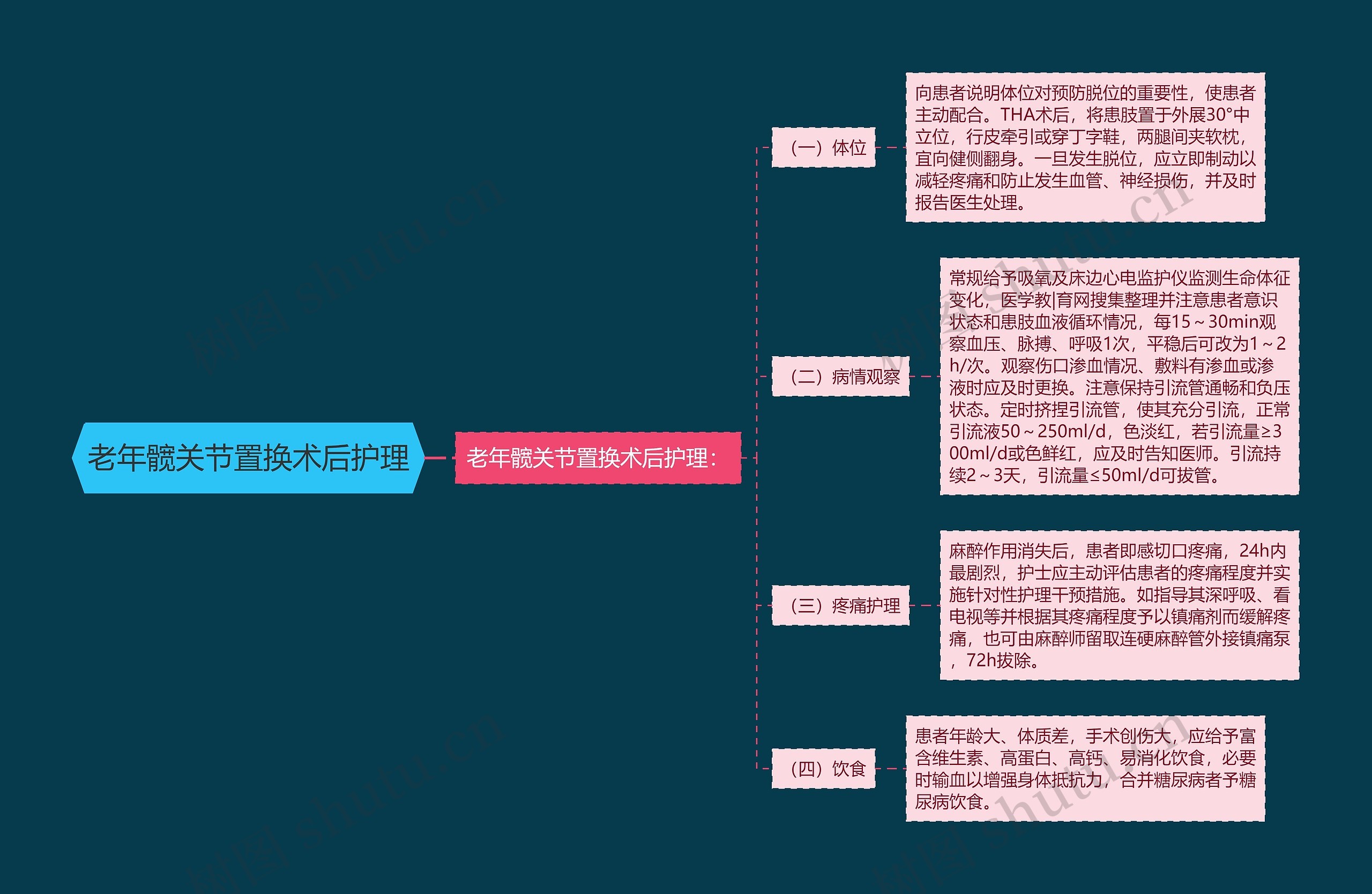 老年髋关节置换术后护理思维导图