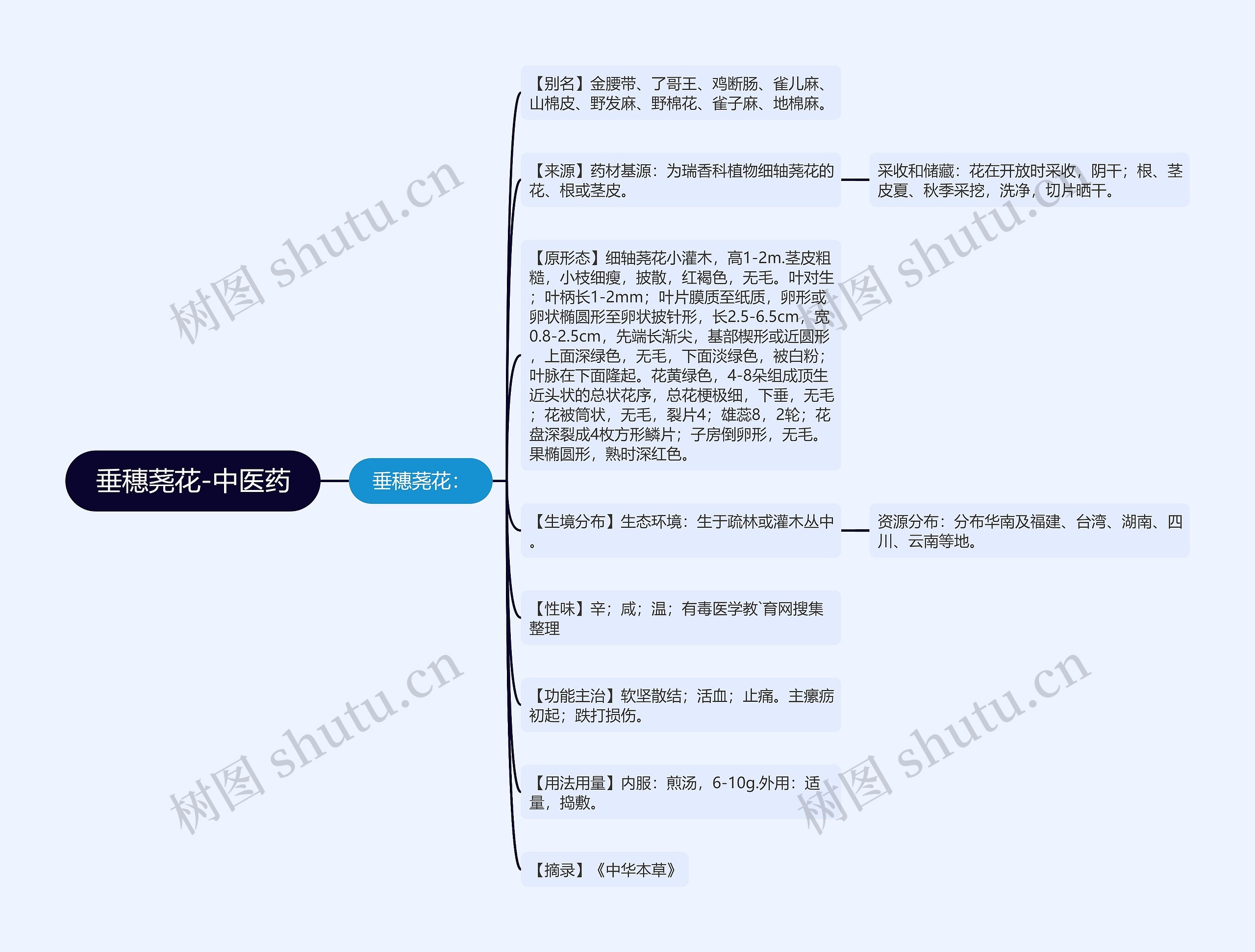 垂穗荛花-中医药 垂穗荛花-中医药
