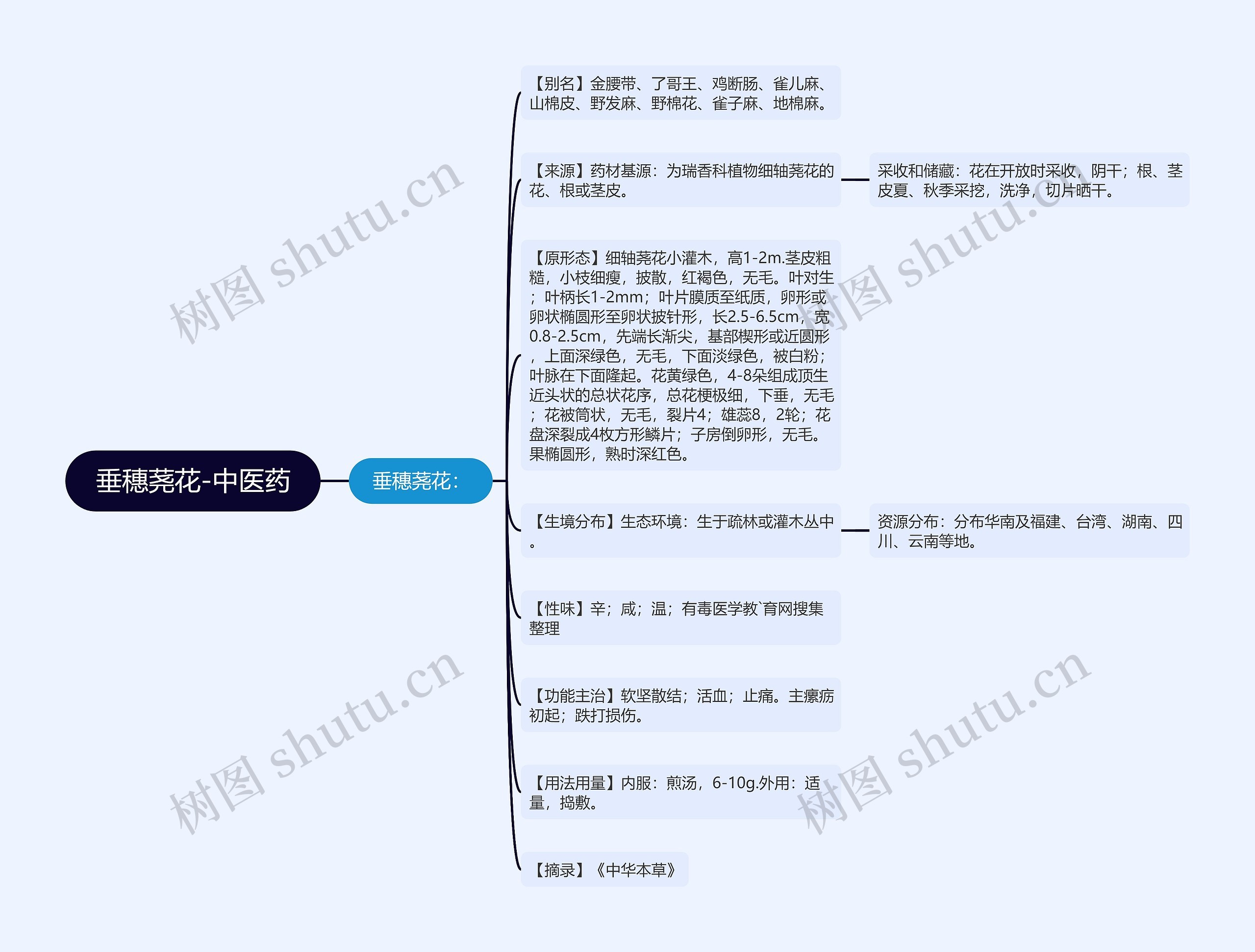 垂穗荛花-中医药思维导图