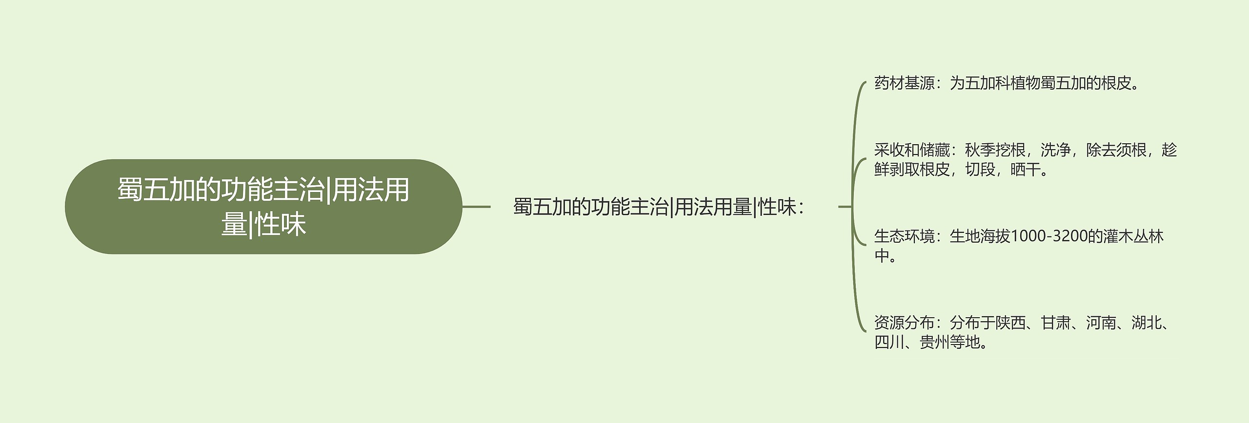 蜀五加的功能主治|用法用量|性味