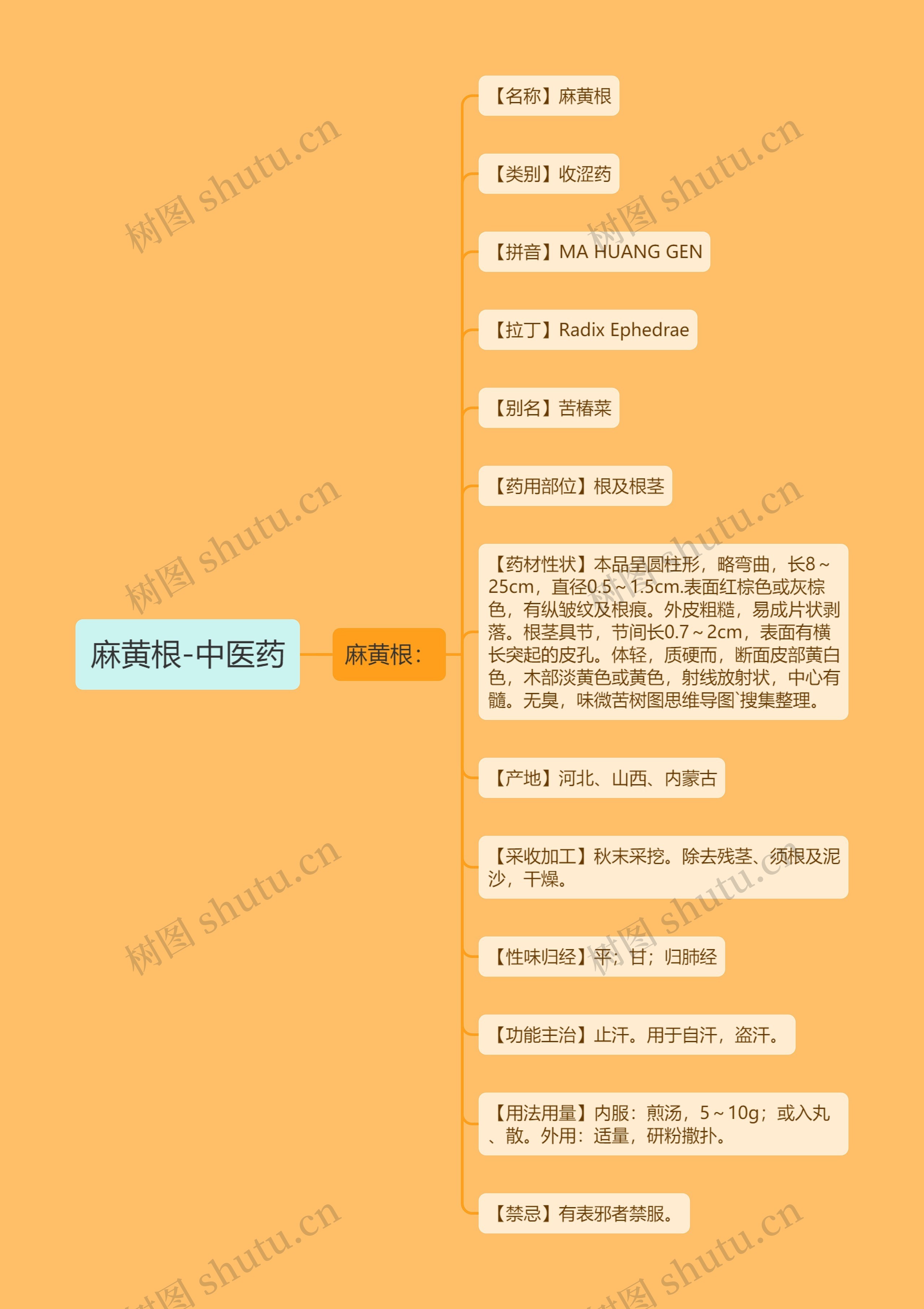 麻黄根-中医药 麻黄根-中医药