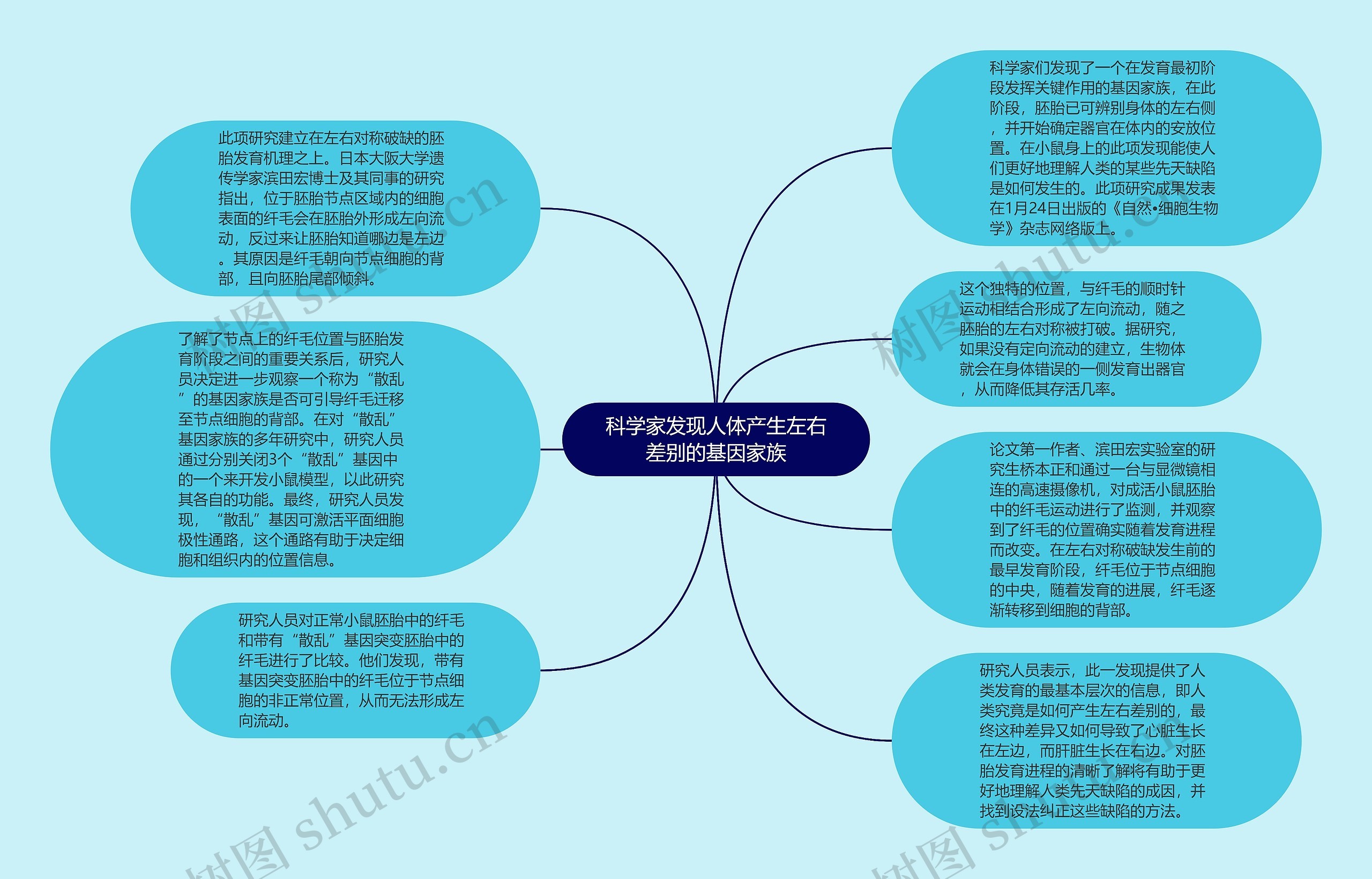 科学家发现人体产生左右差别的基因家族思维导图高清图 科学家发现人体产生左右差别的基因家族思维导图
