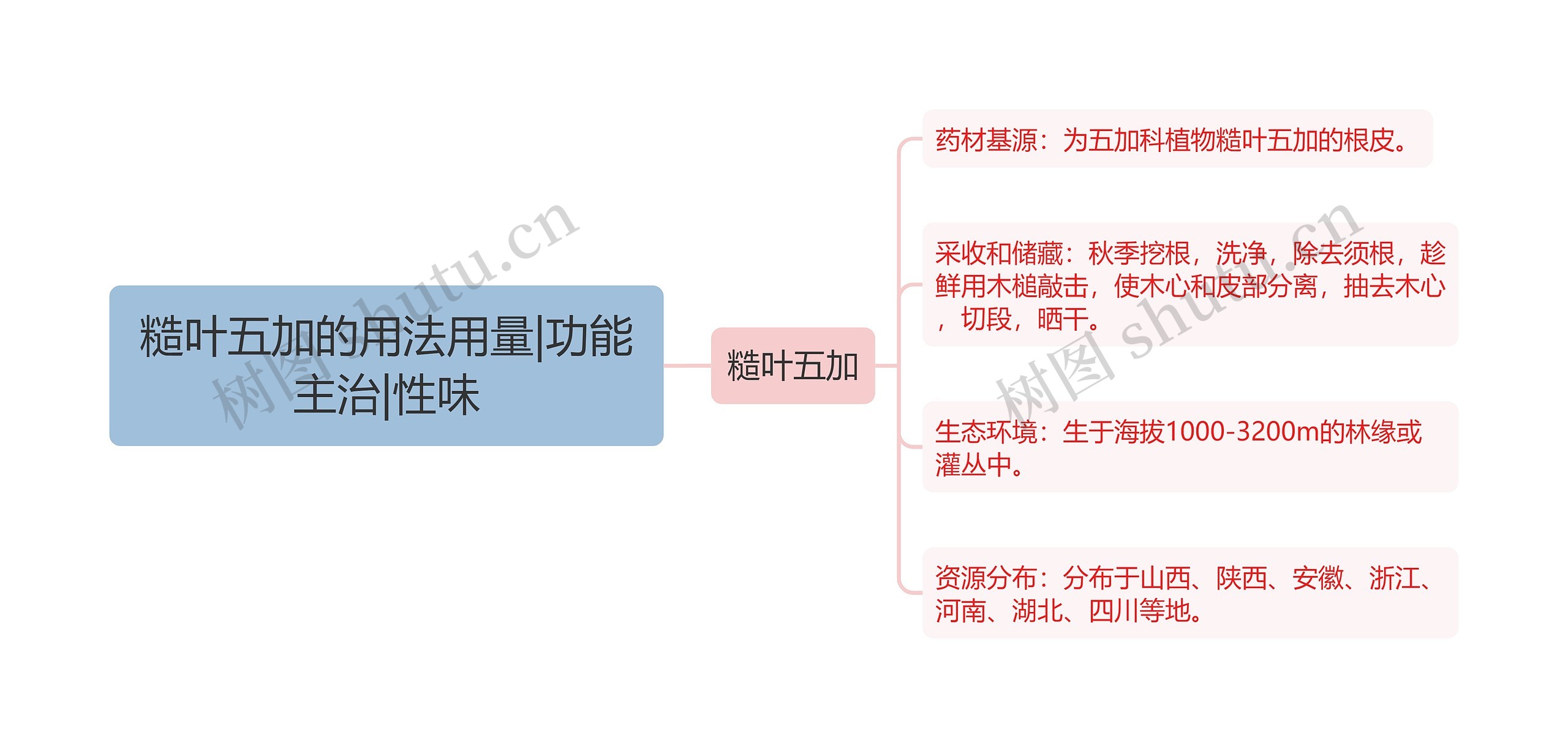 糙叶五加的用法用量|功能主治|性味思维导图