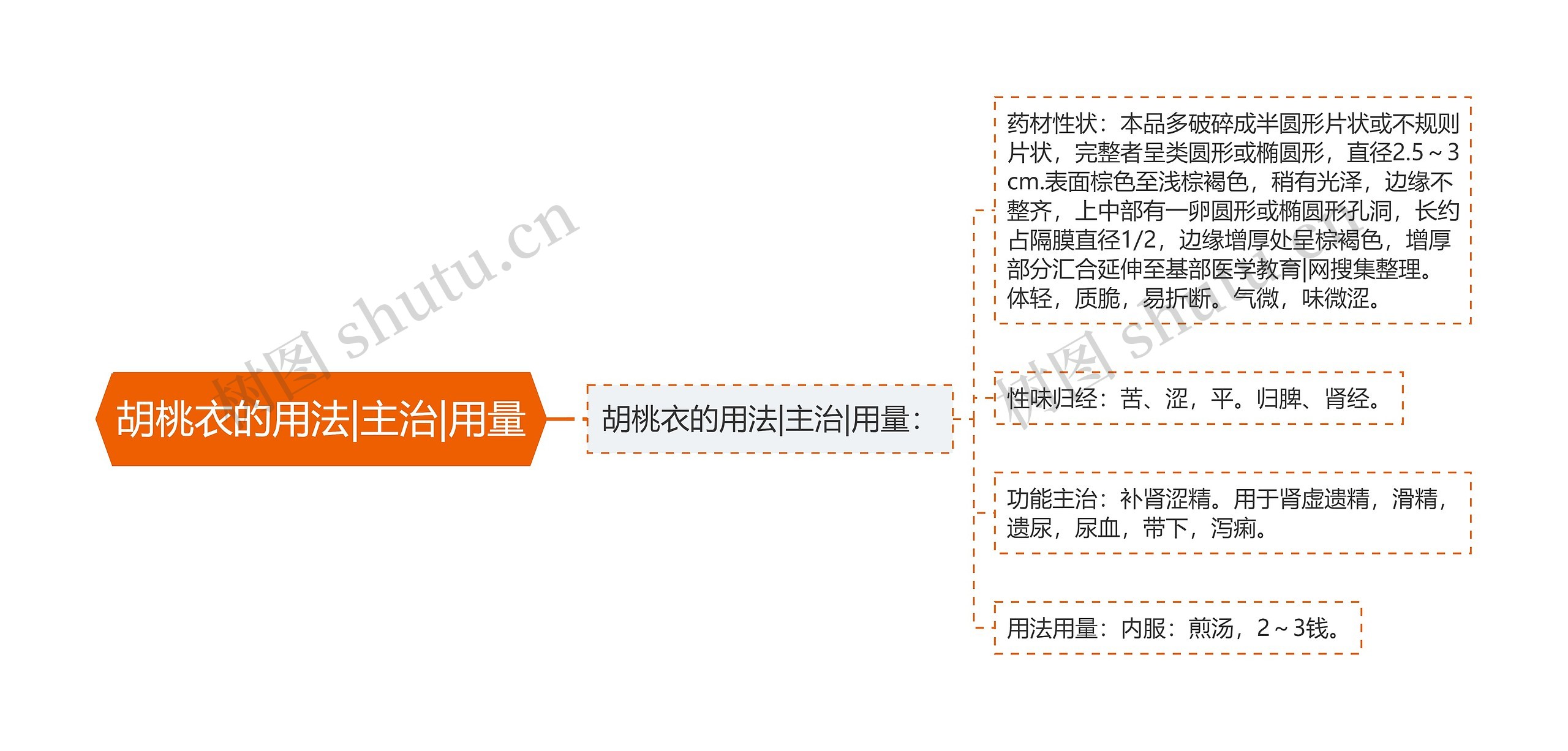 胡桃衣的用法|主治|用量 胡桃衣的用法|主治|用量