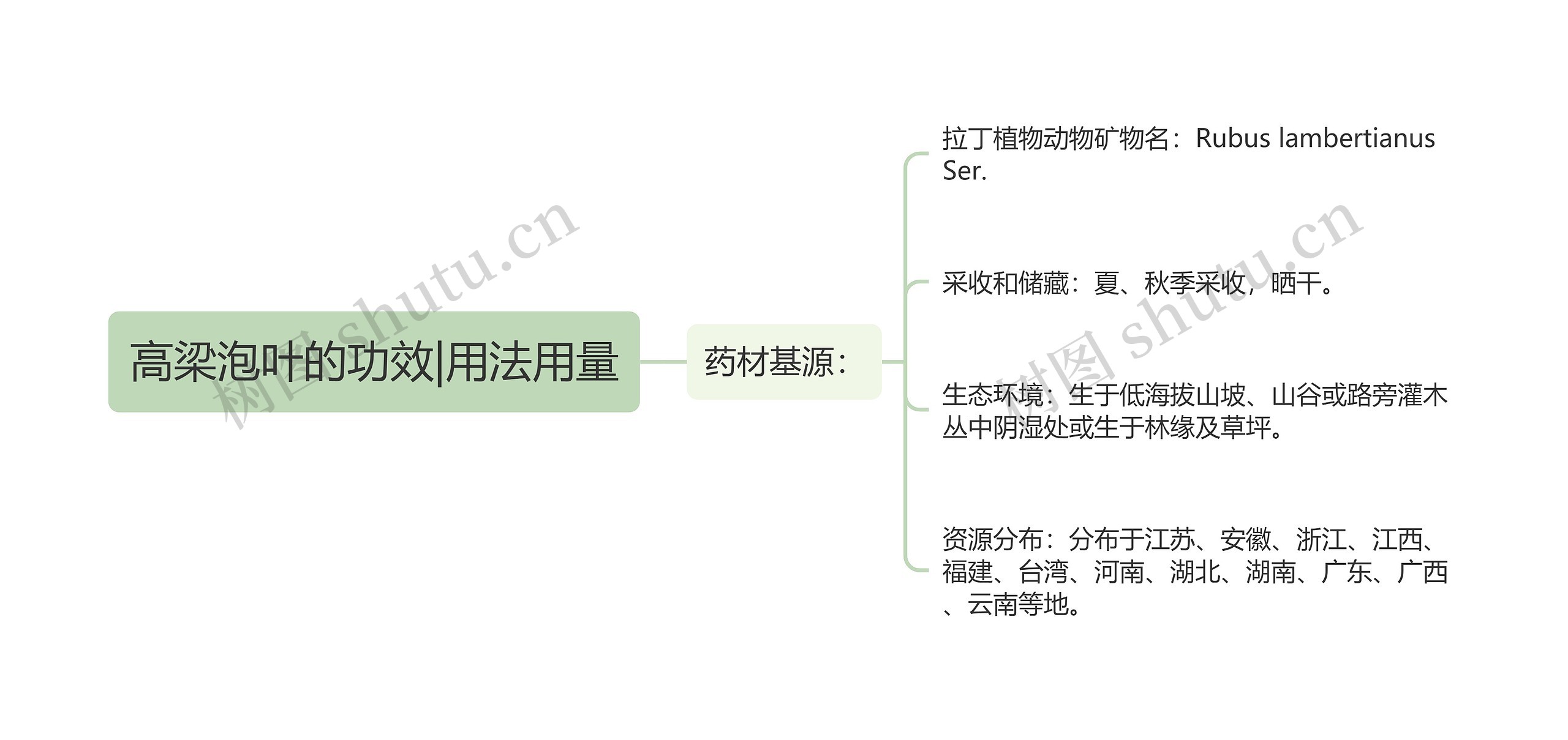 高梁泡叶的功效|用法用量