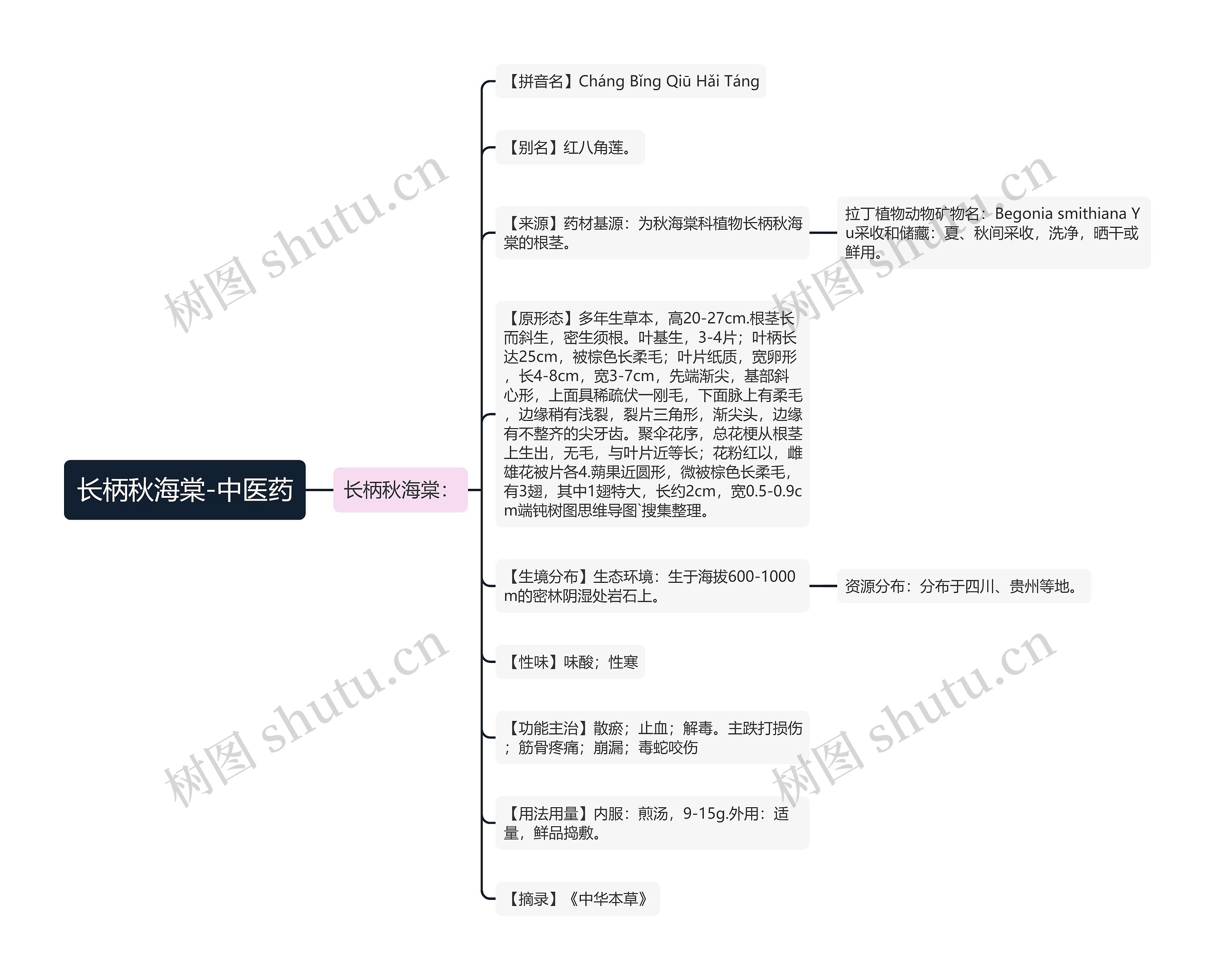 长柄秋海棠-中医药思维导图