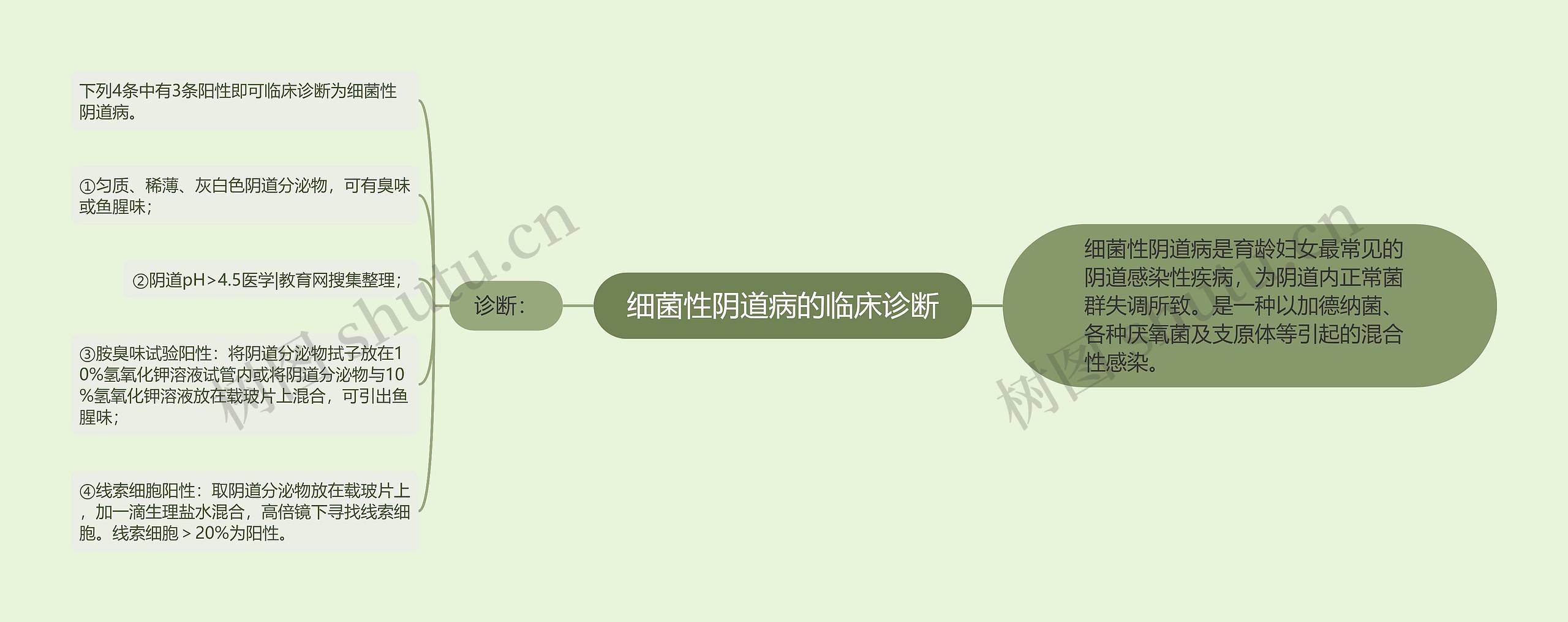细菌性阴道病的临床诊断