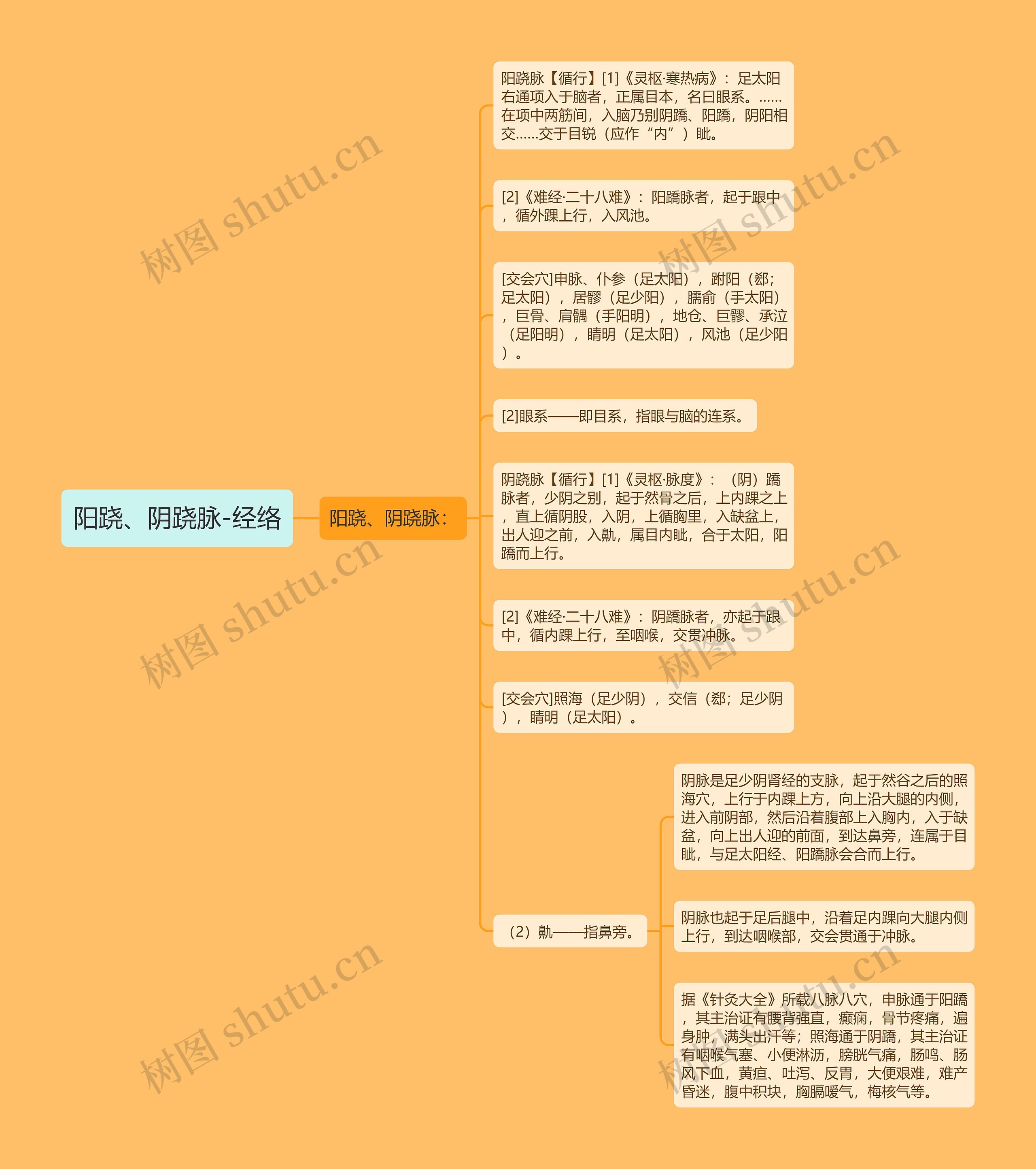 阳跷、阴跷脉-经络思维导图