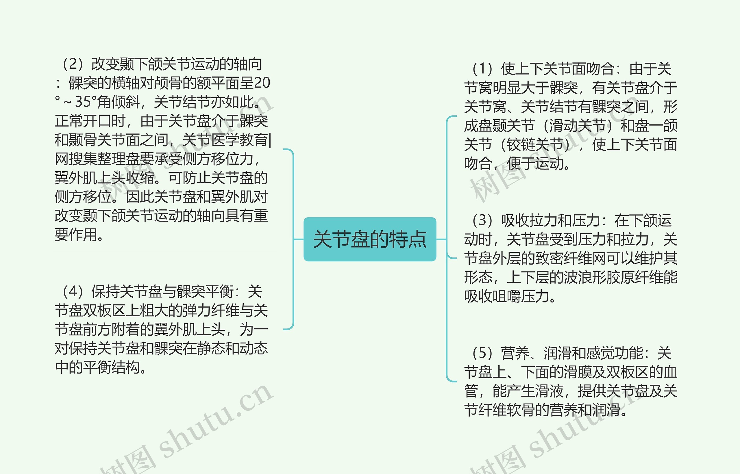 关节盘的特点思维导图