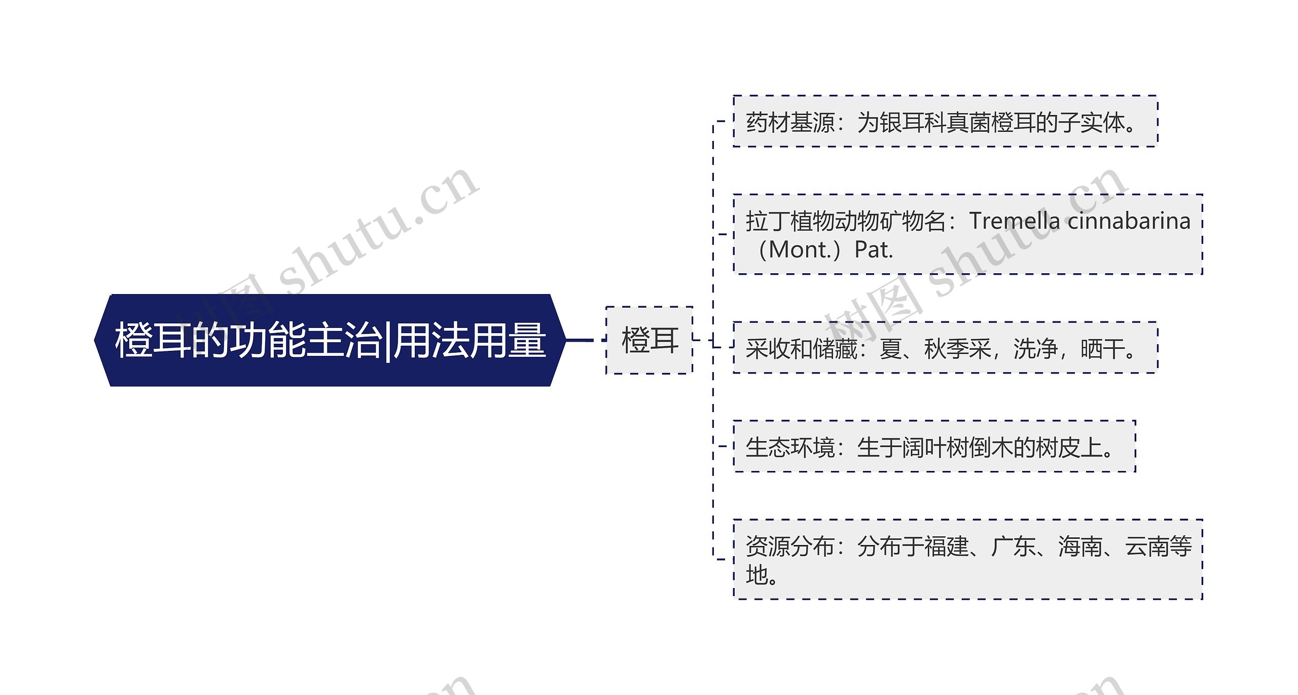 橙耳的功能主治|用法用量思维导图