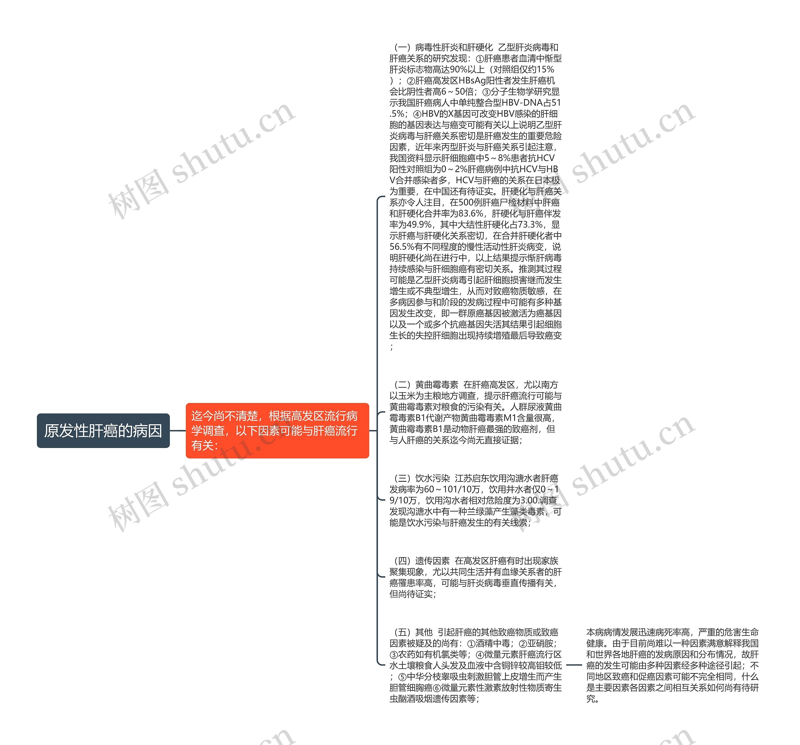 原发性肝癌的病因思维导图