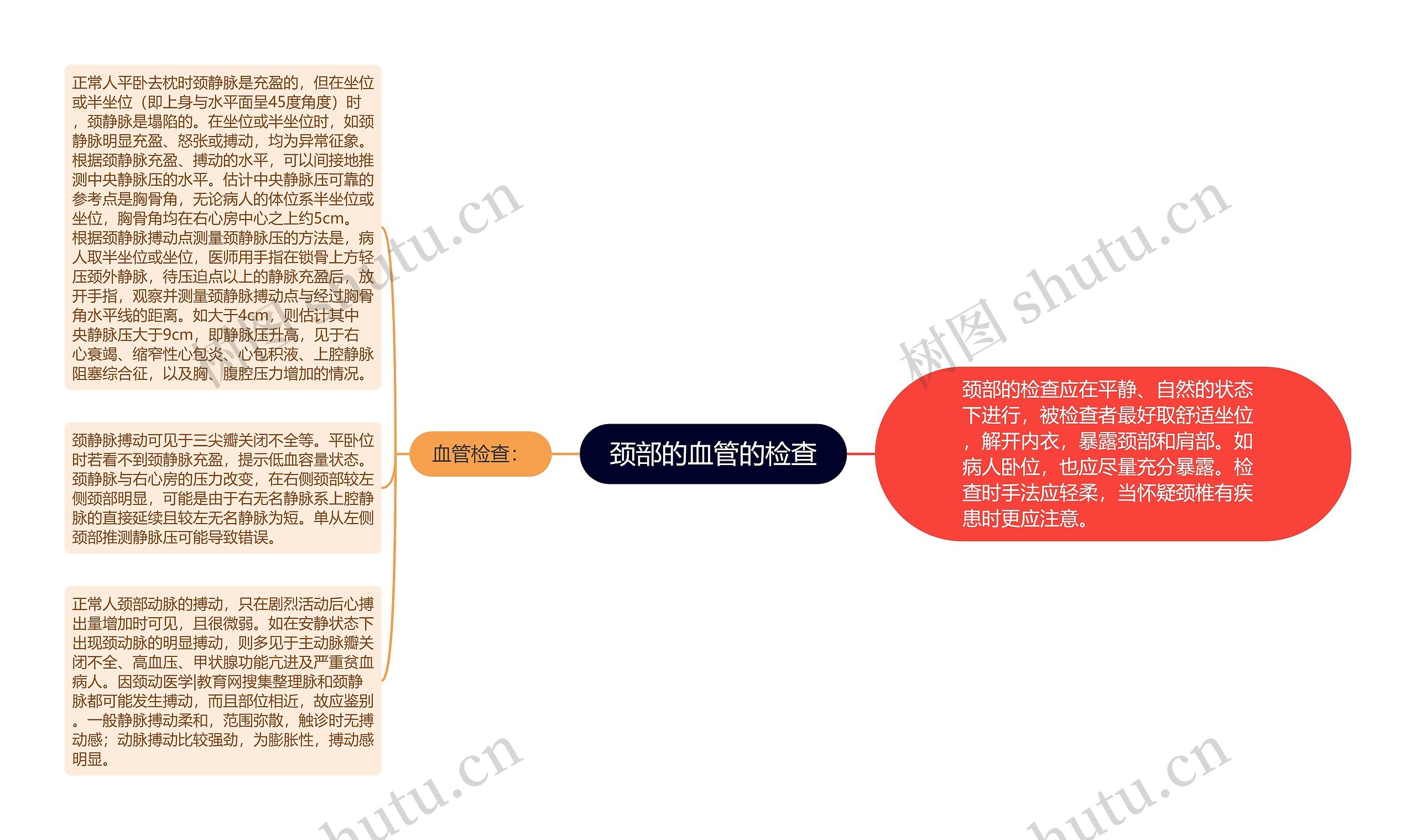 颈部的血管的检查