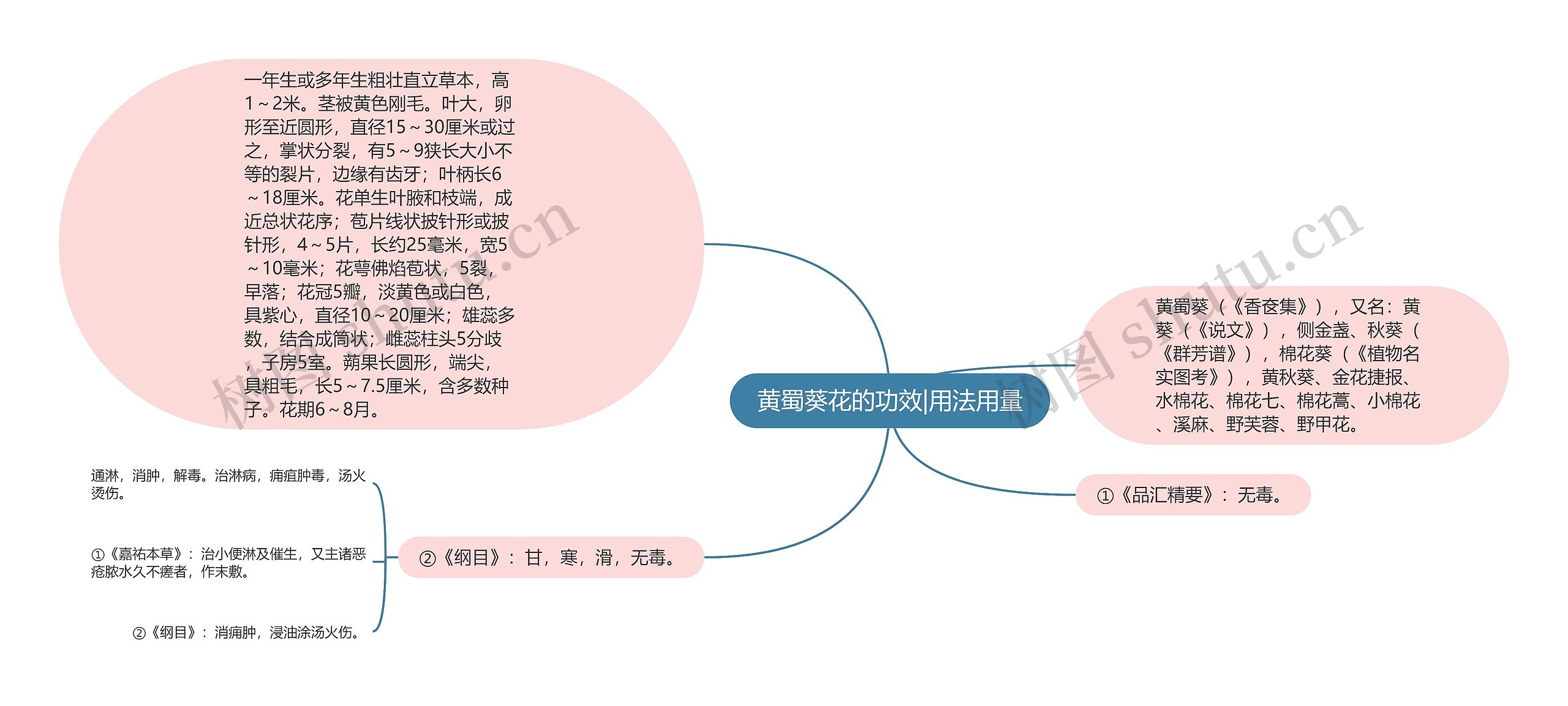 黄蜀葵花的功效|用法用量