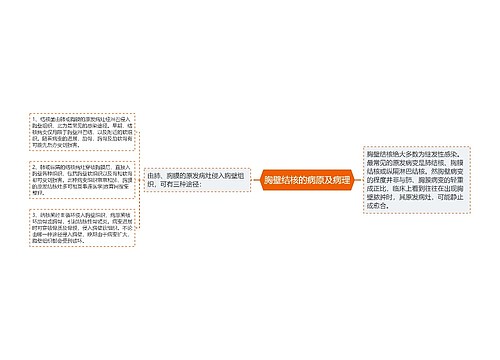 胸壁结核的病原及病理