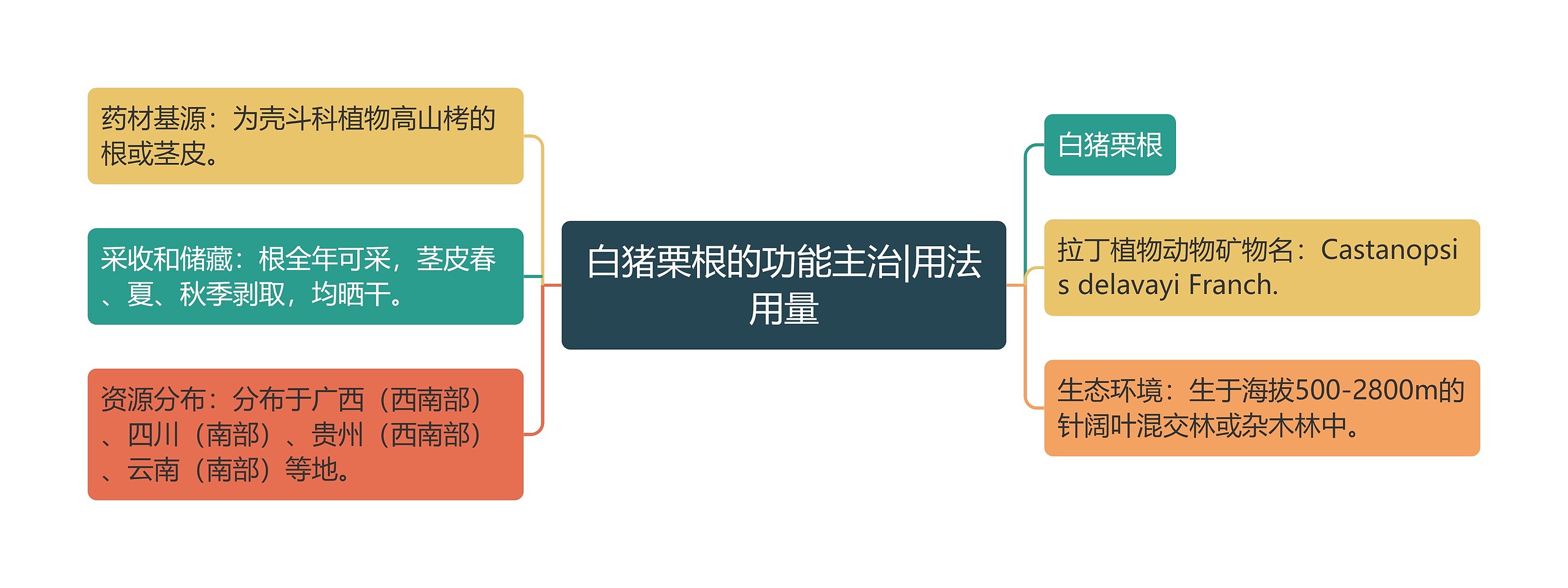 白猪栗根的功能主治|用法用量思维导图