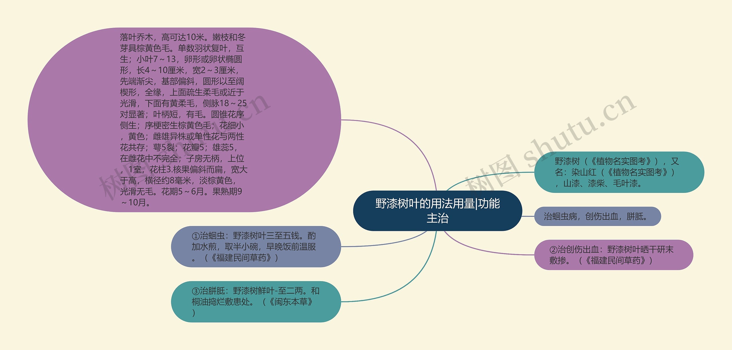 野漆树叶的用法用量|功能主治