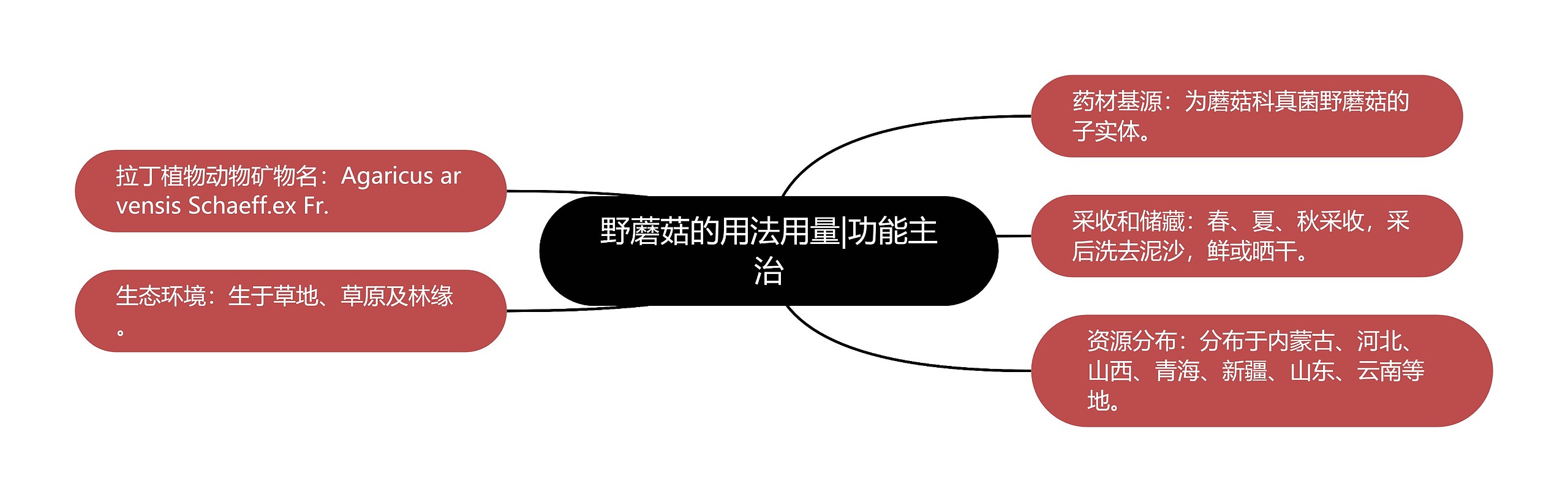 野蘑菇的用法用量|功能主治思维导图