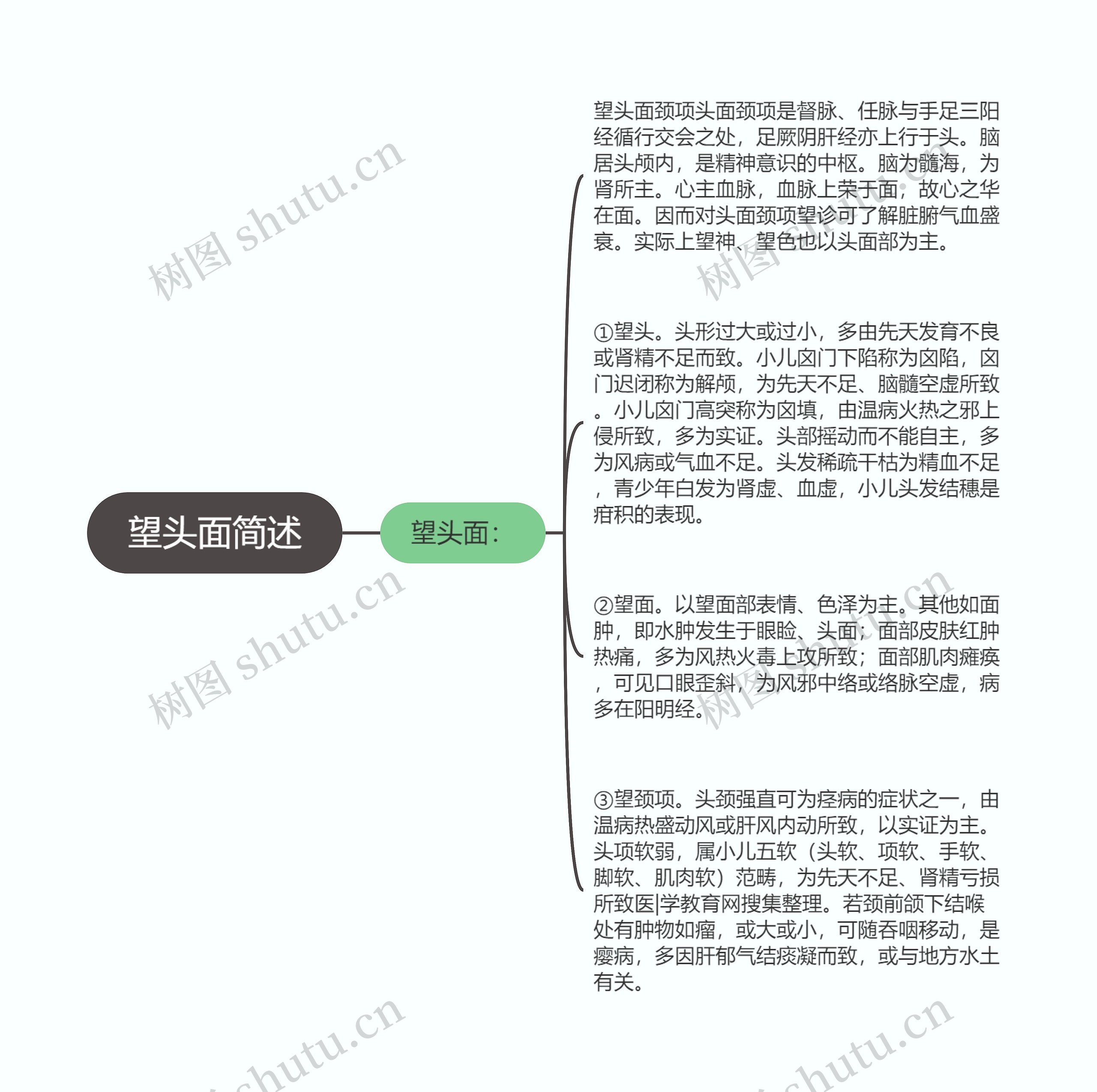 望头面简述思维导图