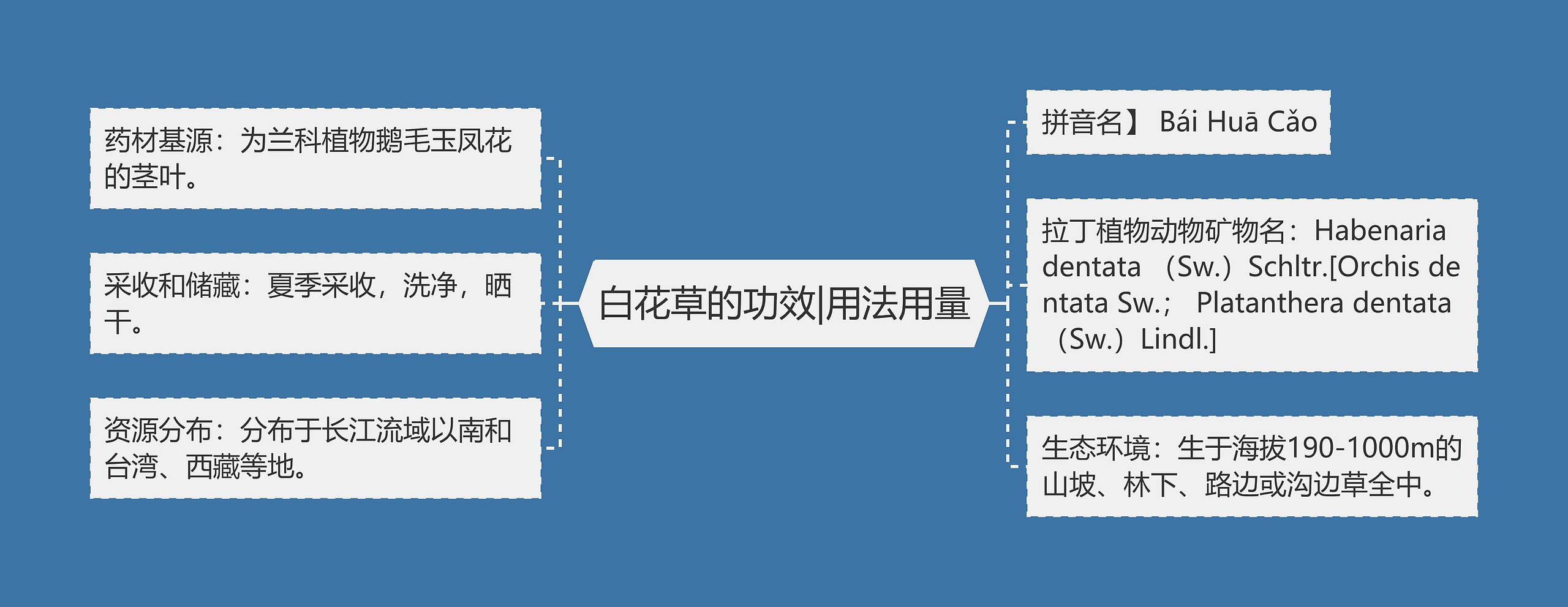 白花草的功效|用法用量思维导图