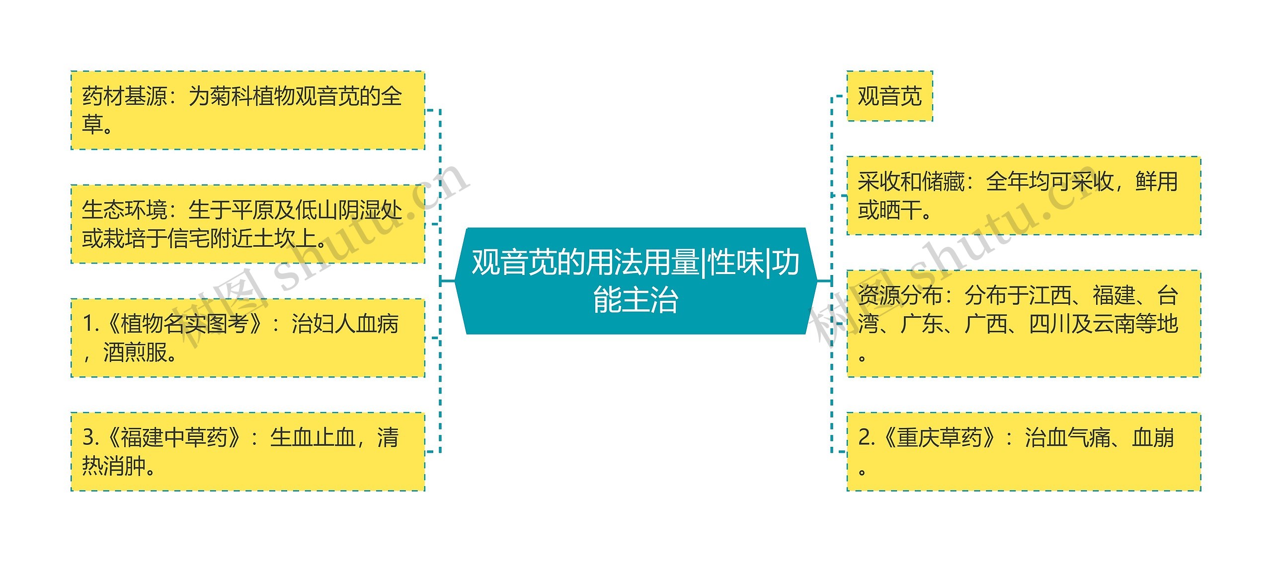 观音苋的用法用量|性味|功能主治