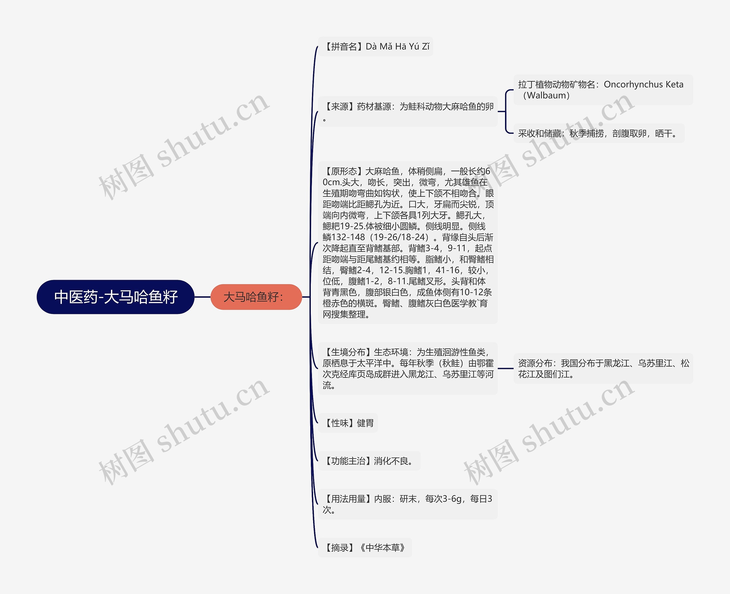 中医药-大马哈鱼籽思维导图
