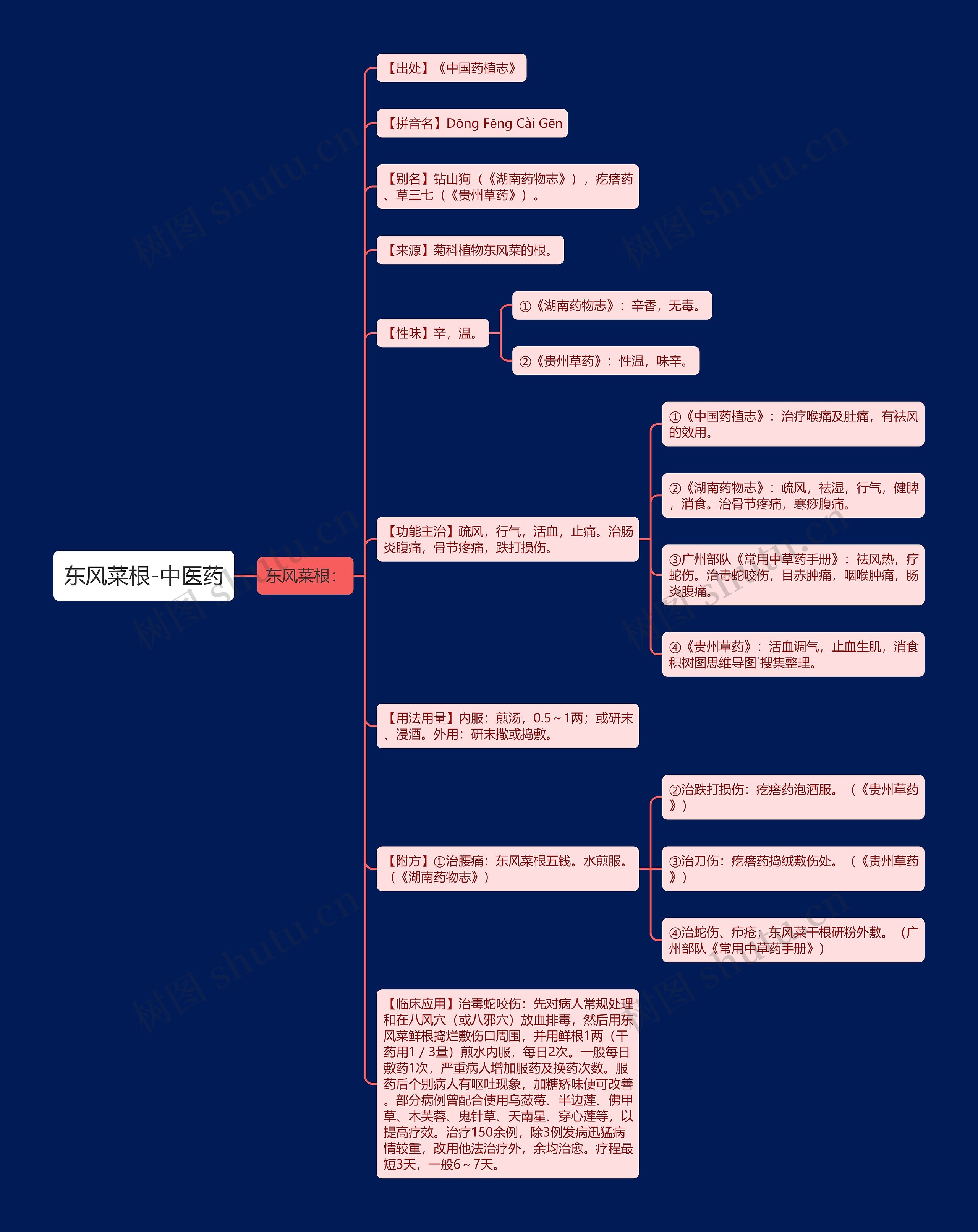 东风菜根-中医药思维导图