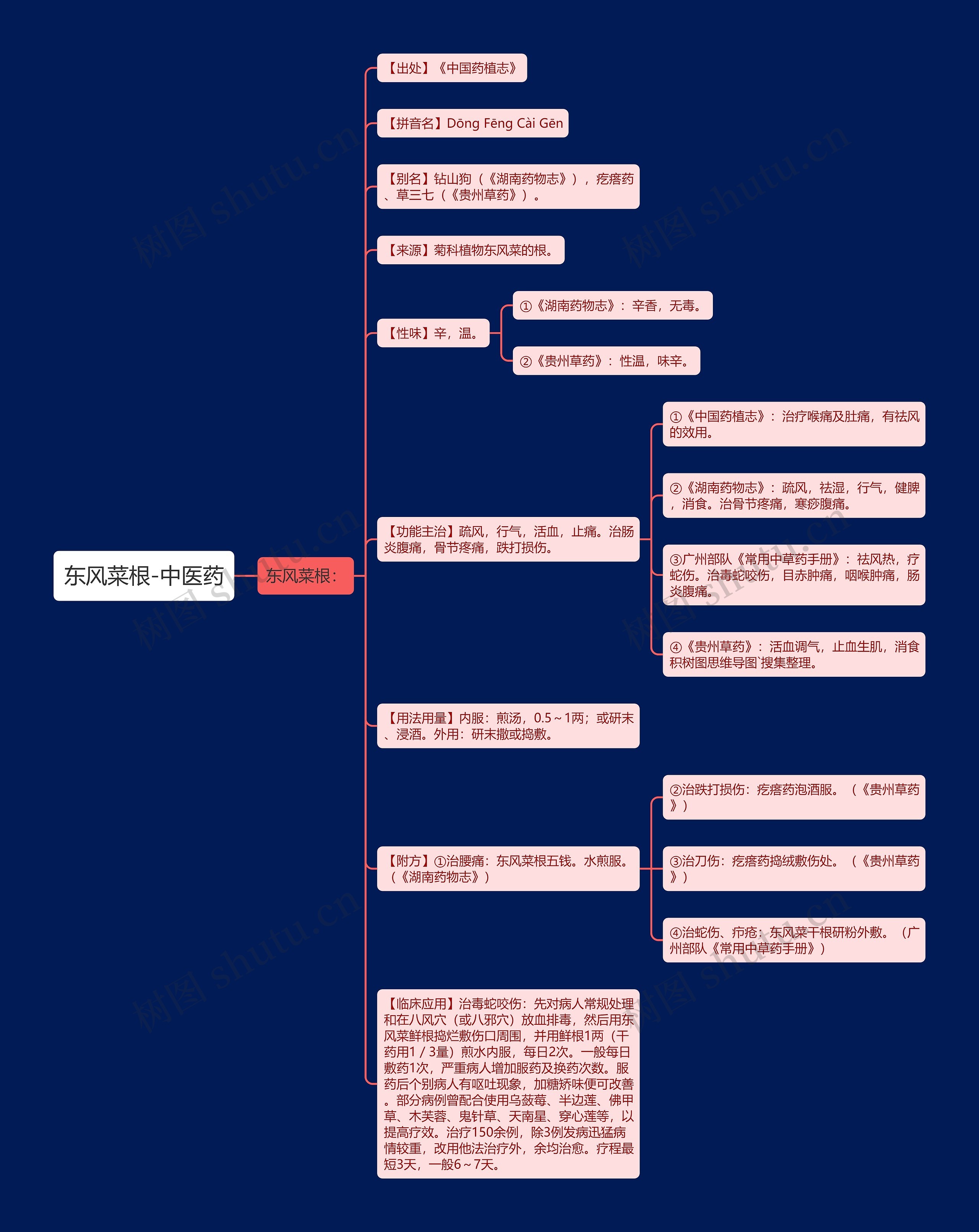 东风菜根-中医药 东风菜根-中医药