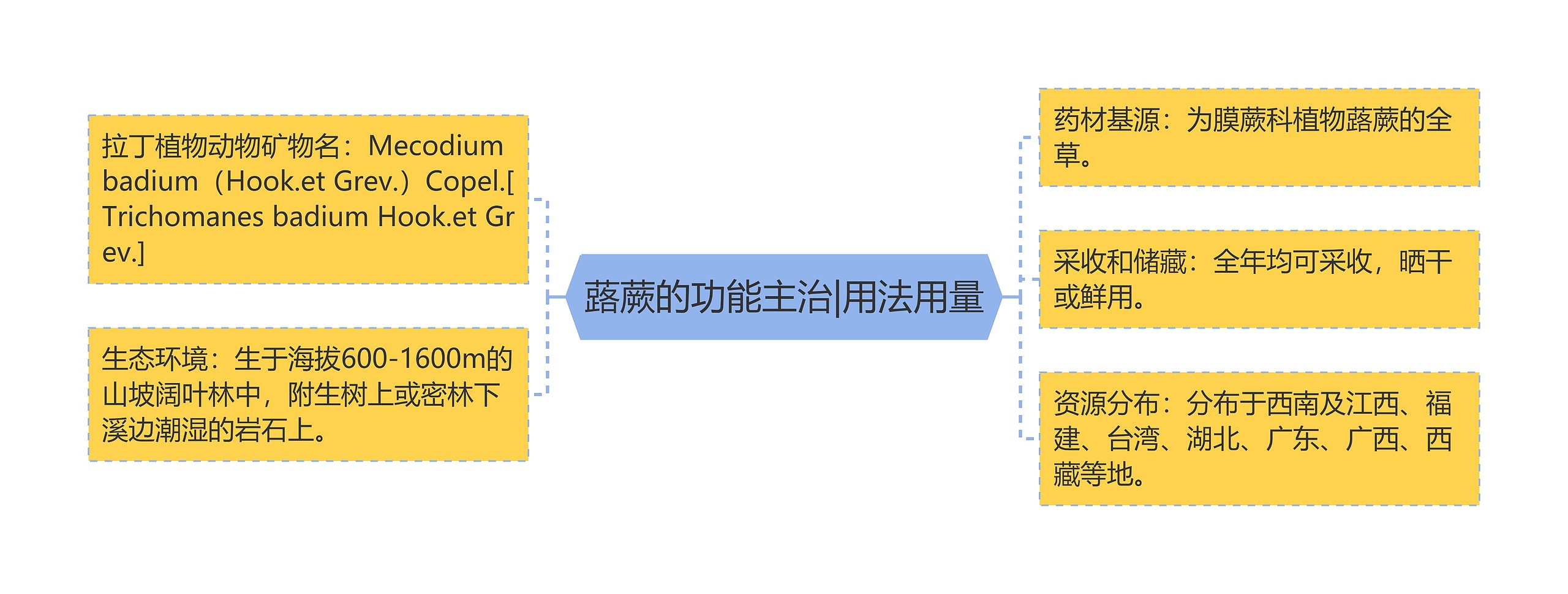 蕗蕨的功能主治|用法用量思维导图