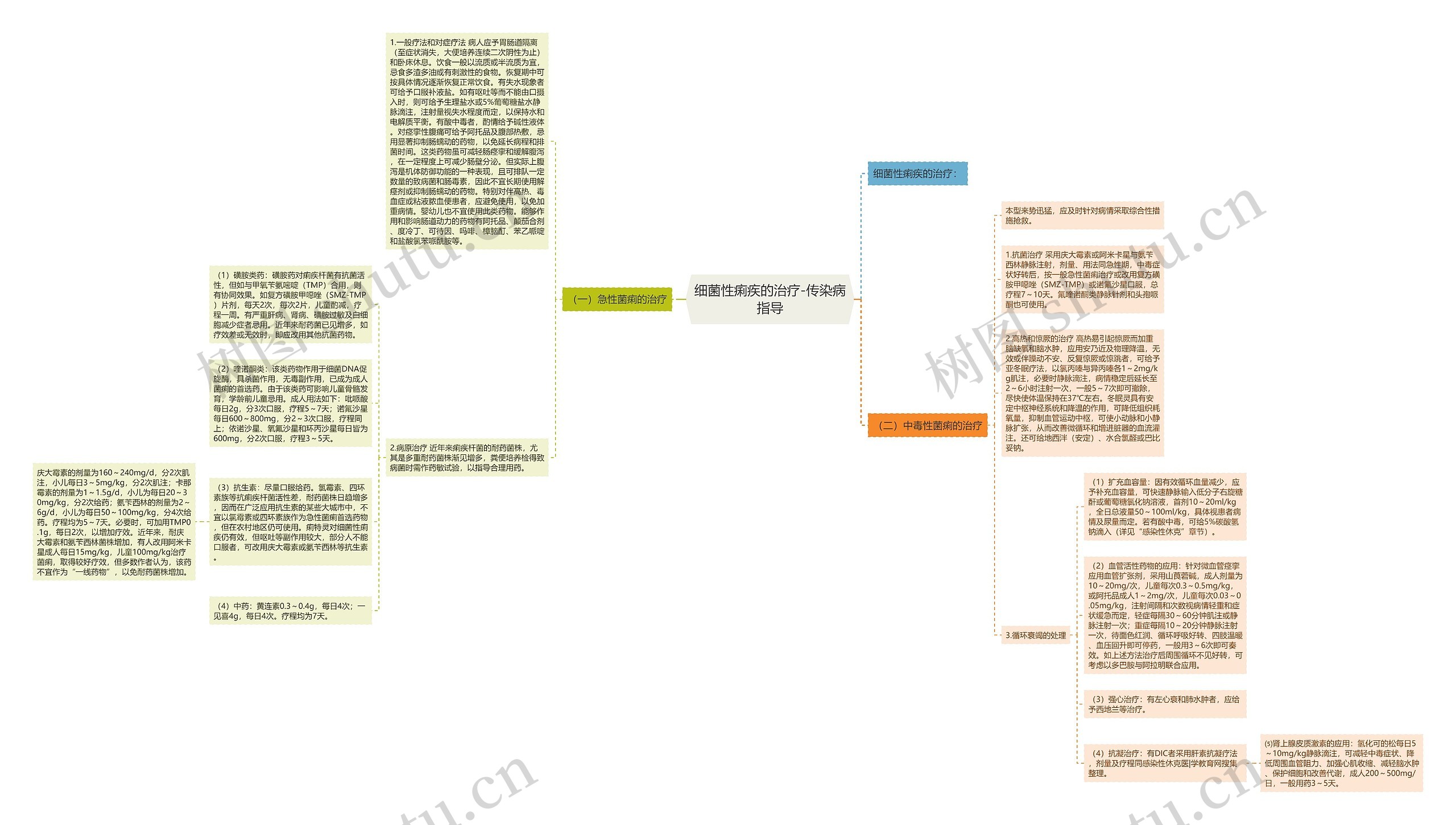 细菌性痢疾的治疗-传染病指导思维导图