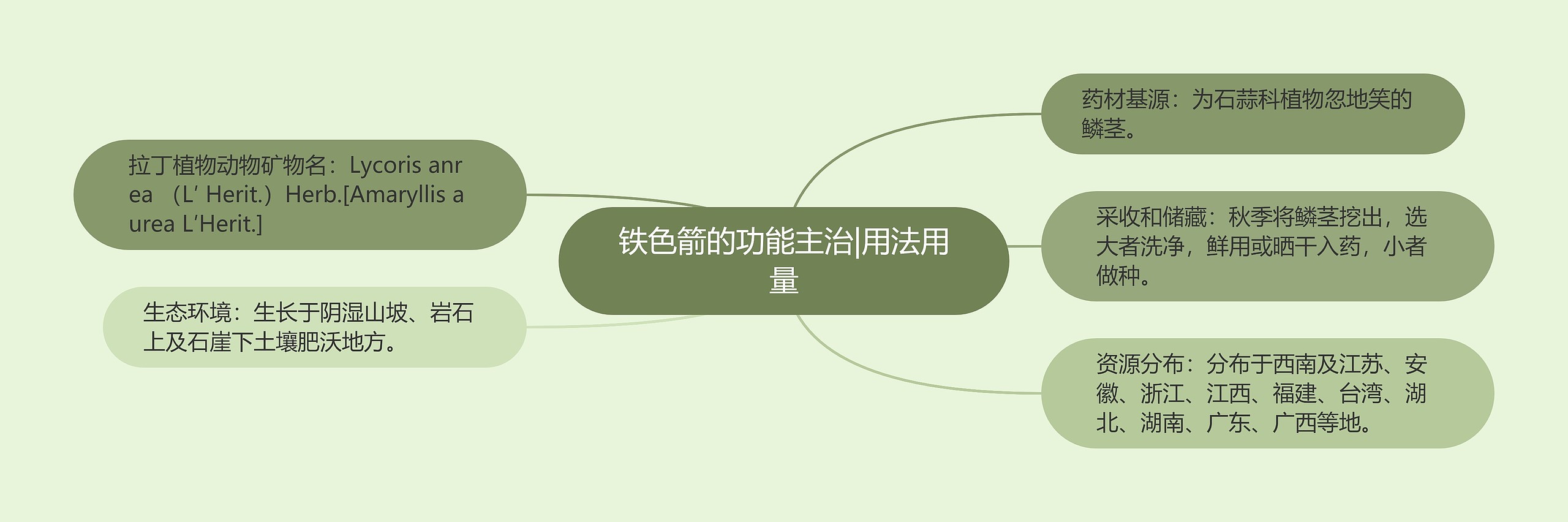 铁色箭的功能主治|用法用量思维导图